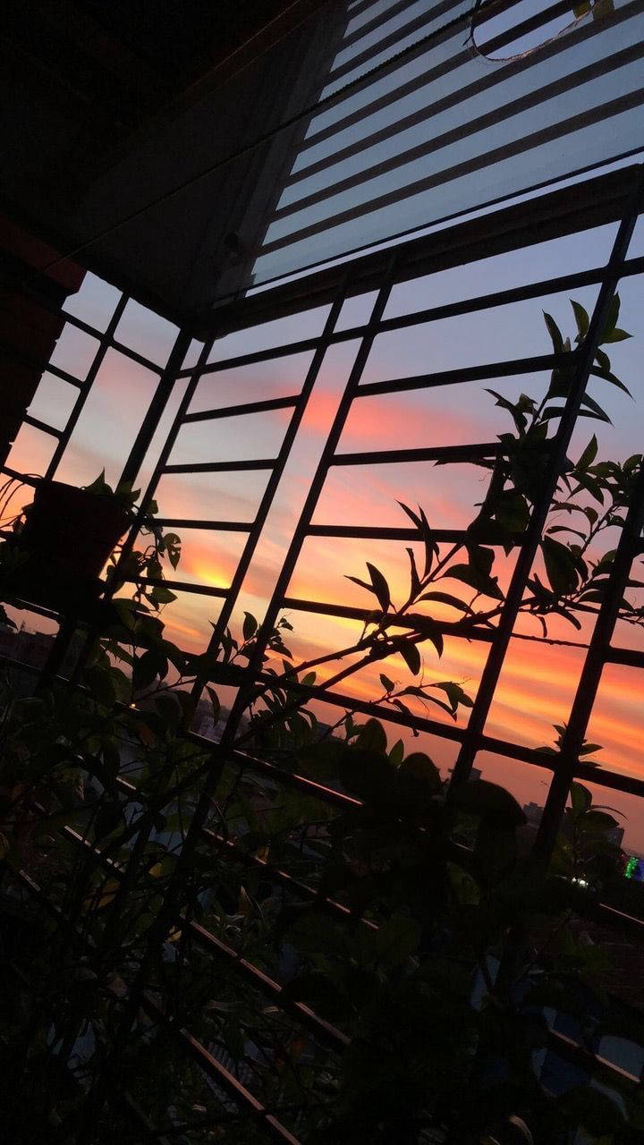 Aesthetic Silhouette Para sa iPhone Wallpaper