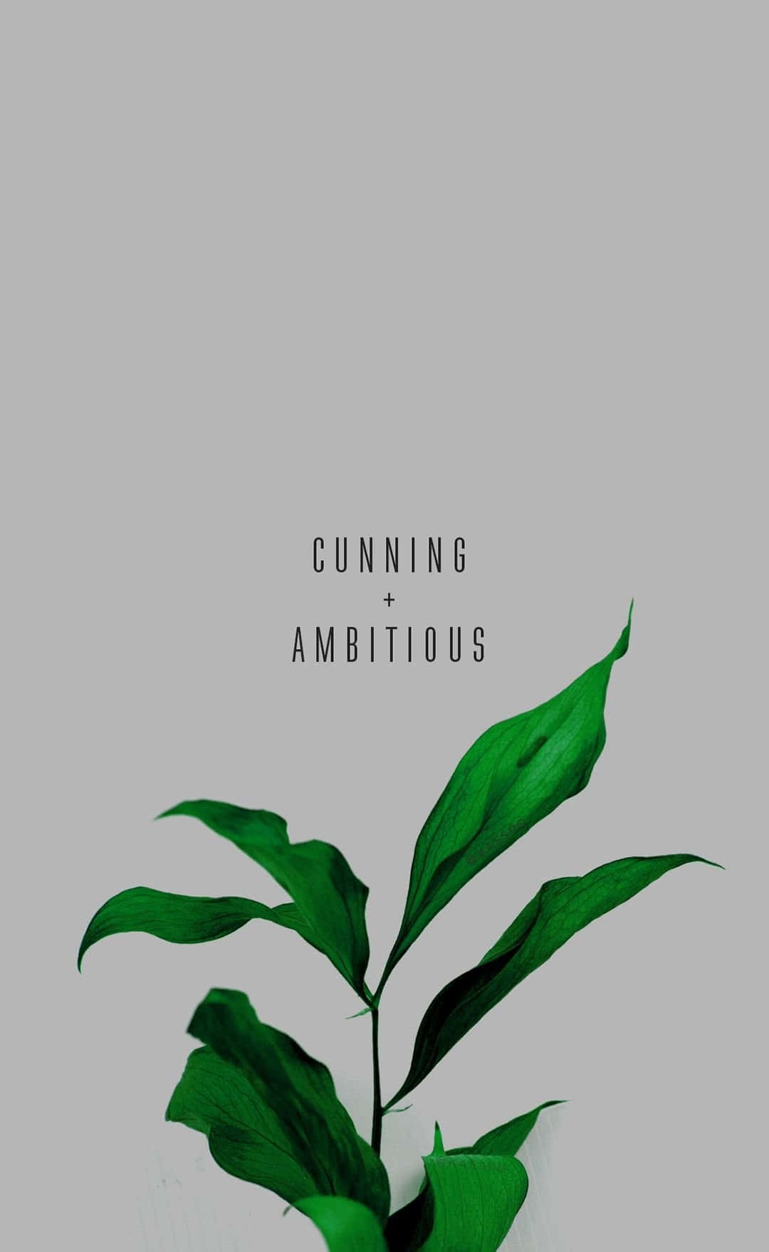 Aesthetic Sunset sa Screen ng Telepono Wallpaper