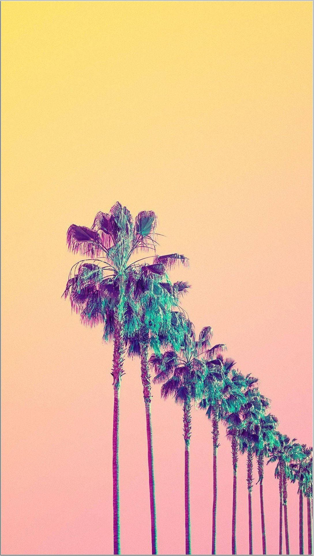 Aesthetic Yellow Vibes na mga Puno ng Palma Wallpaper