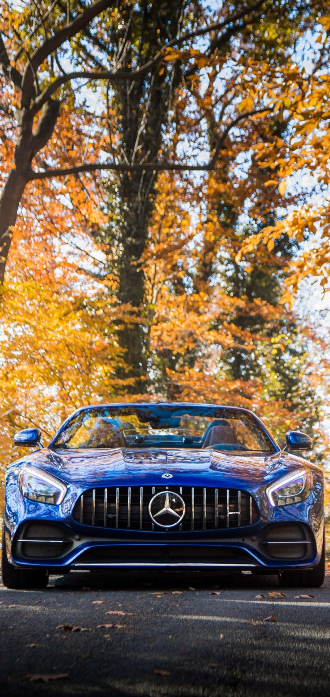 Android Amg Gt-r Yellow Tree Leaves Background Wallpaper