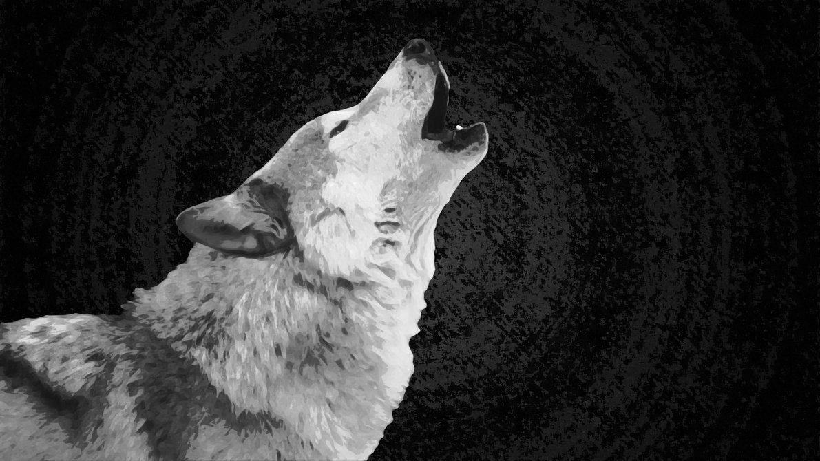 Ang Alulong ng Isang Mabangis na Lobo Wallpaper