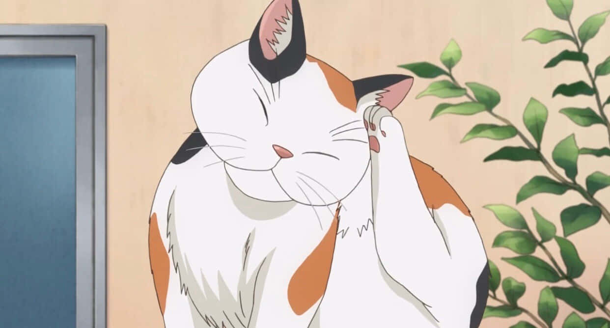 Ang cute na Anime Cat na may salamin! Wallpaper