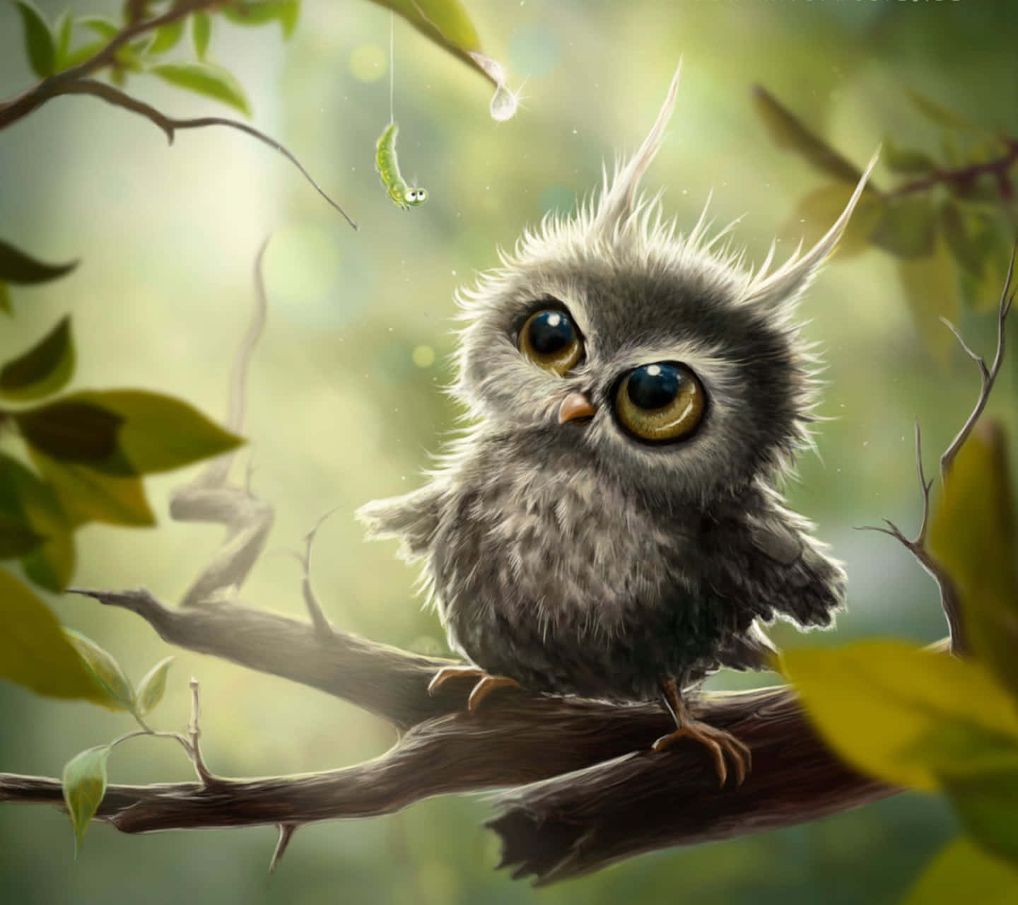 Ang cute na kuwago na ito ay magpapasaya sa iyong araw! Wallpaper