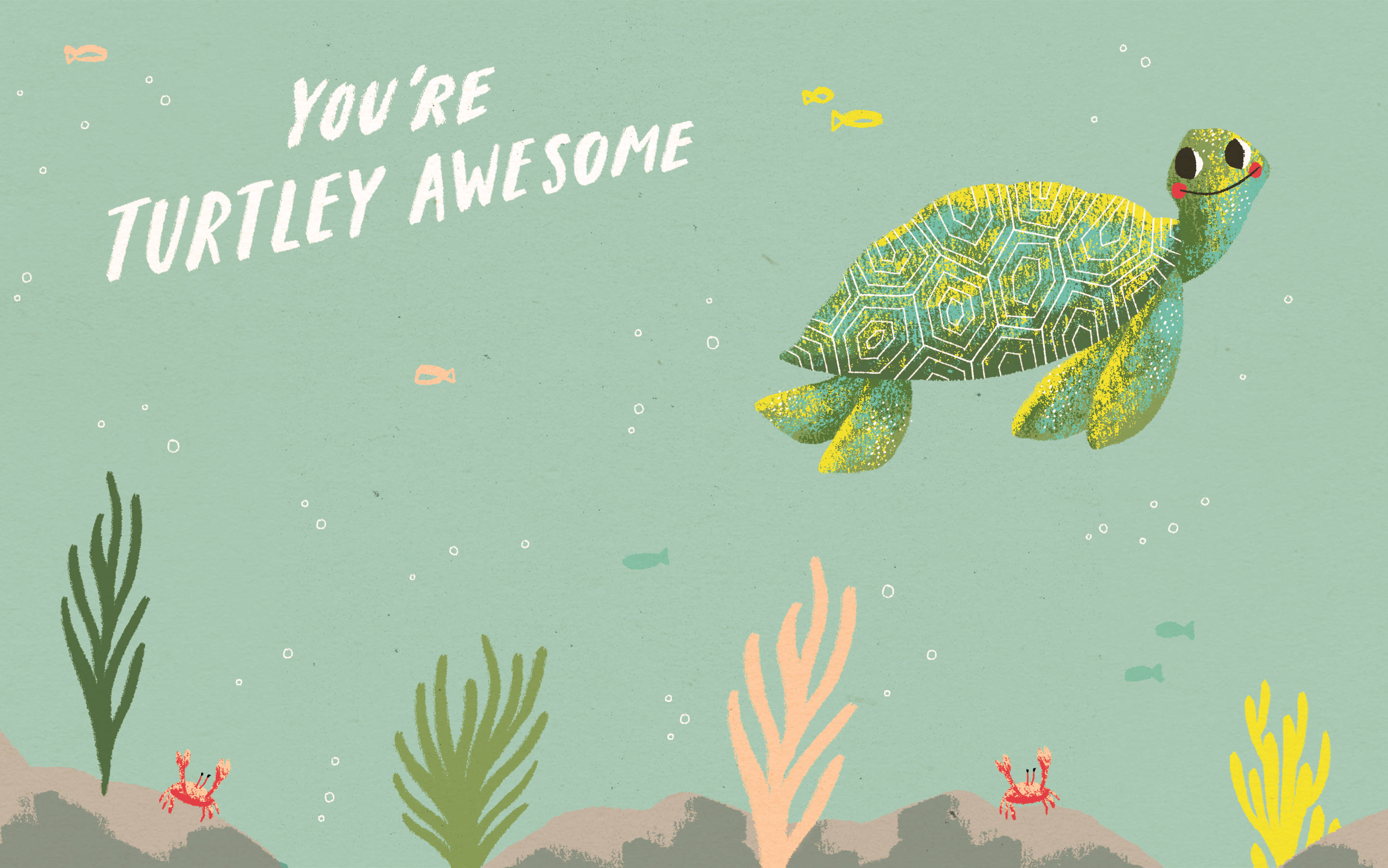 Ang Ganda at Cute na Green Turtle Wallpaper