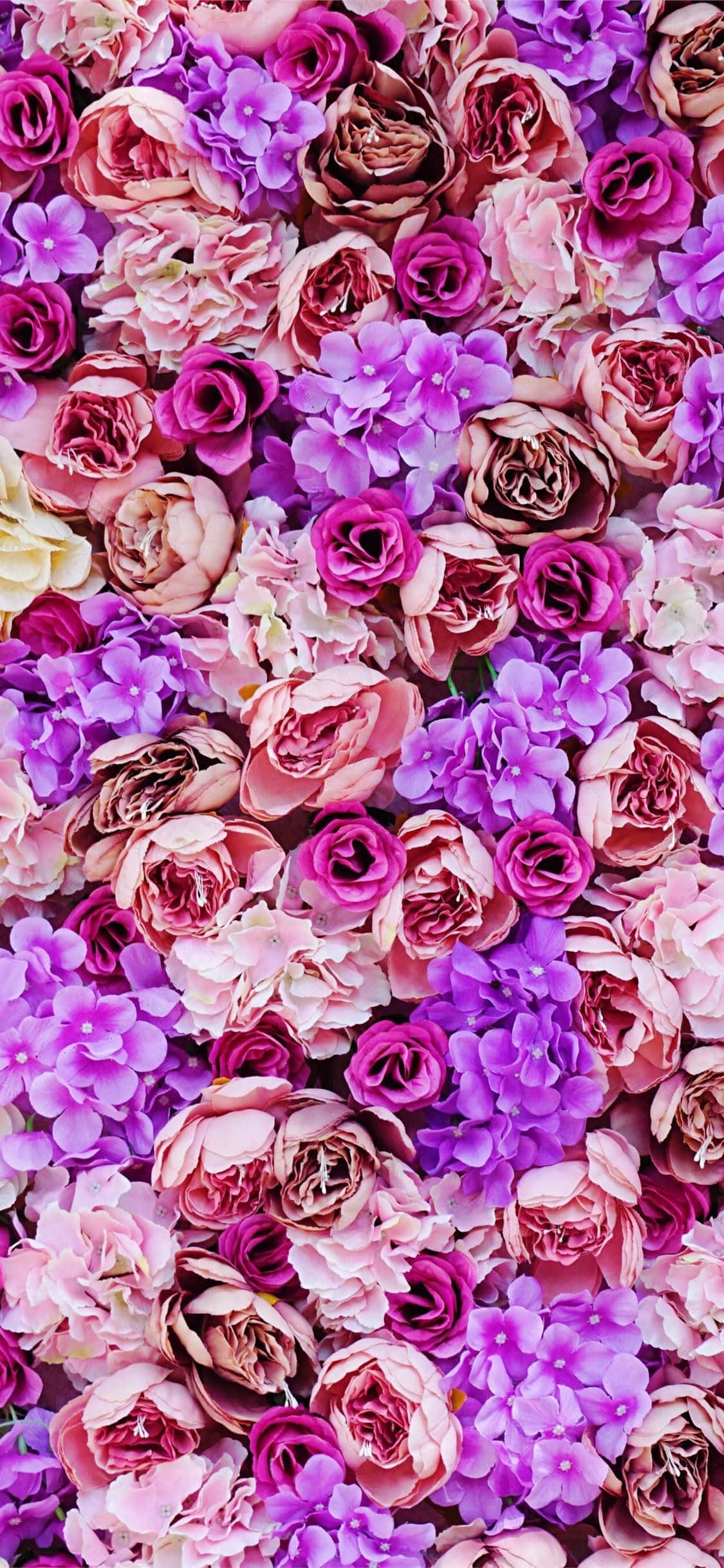 Ang ganda ng isang lilang bulaklak. Wallpaper
