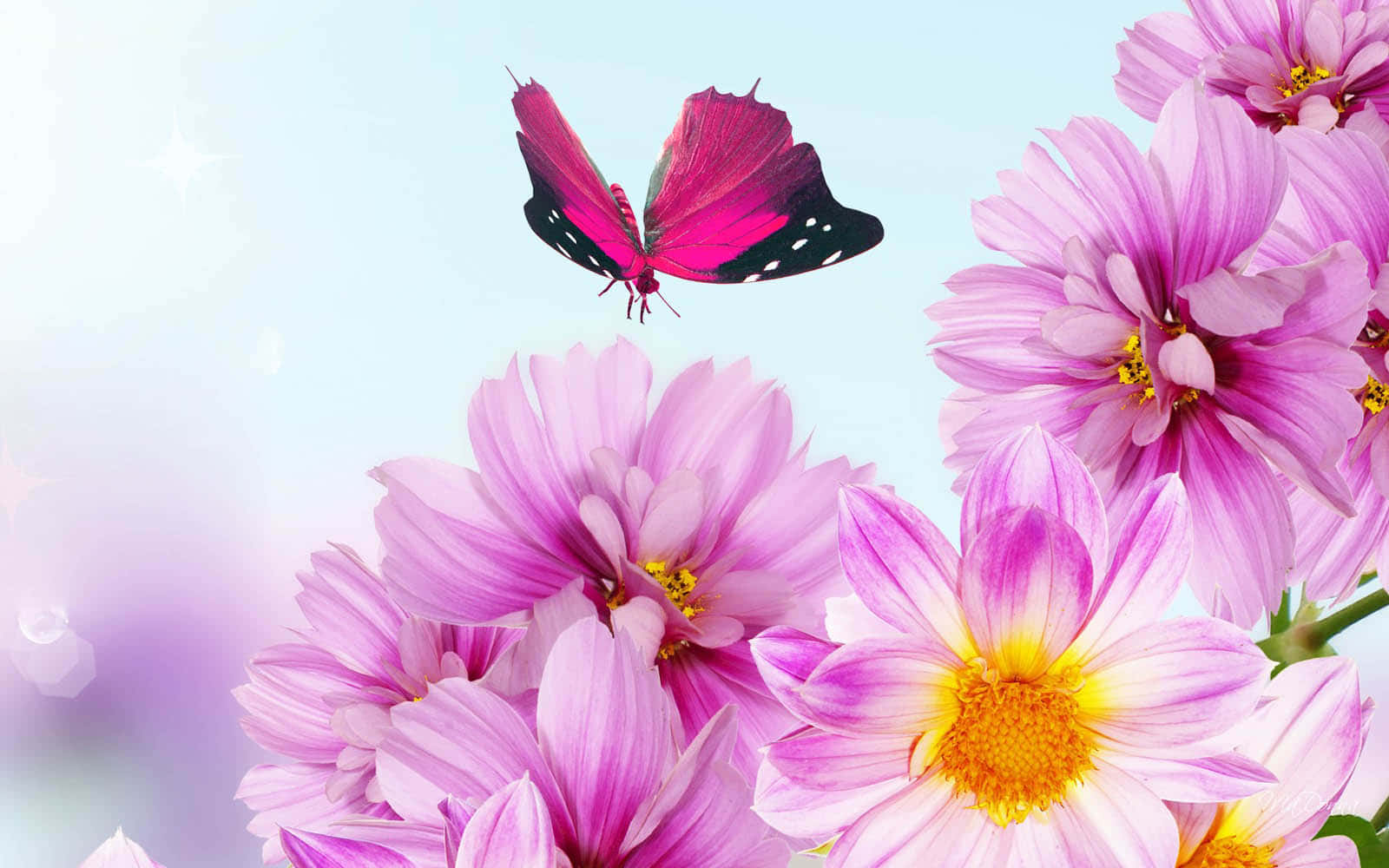 Ang ganda ng kalikasan sa kanyang buong pamumulaklak Wallpaper