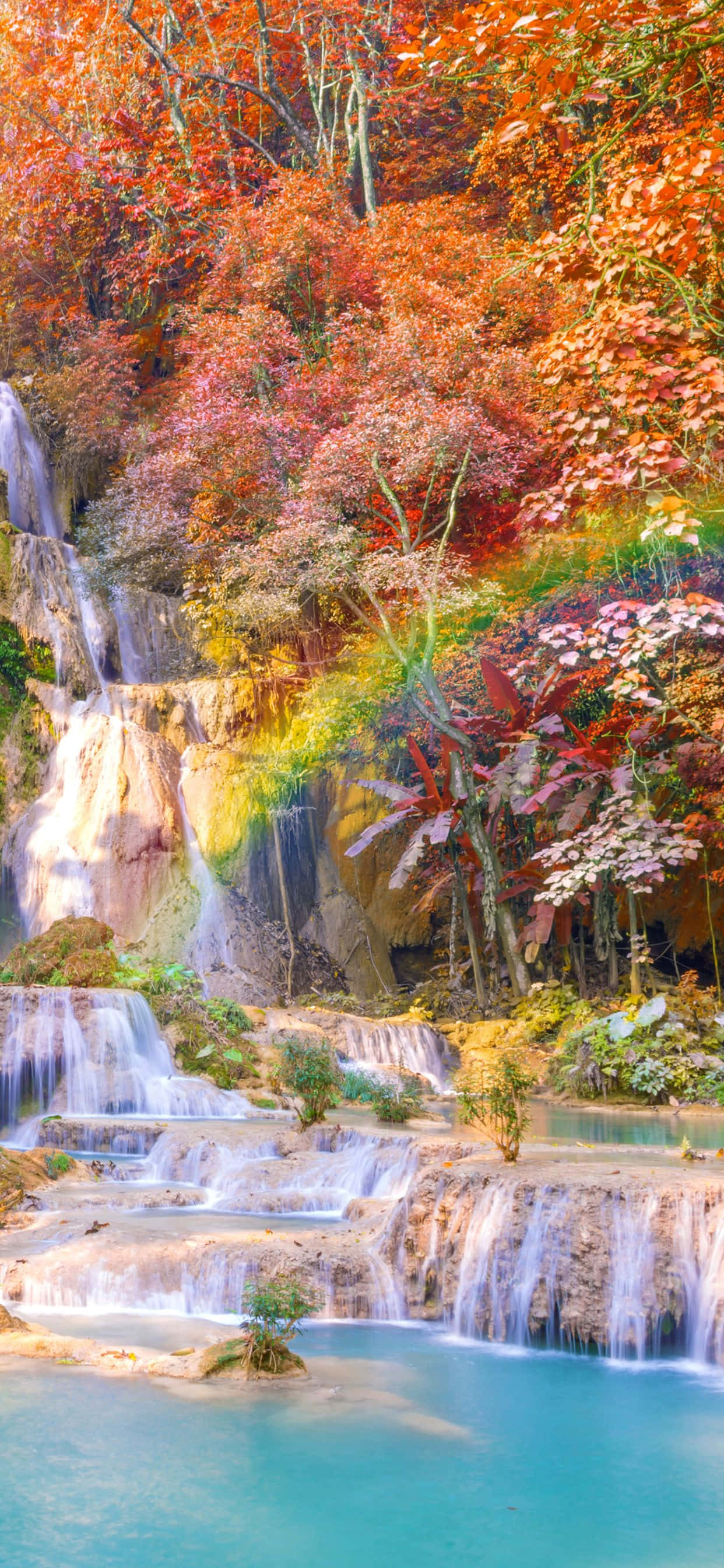 Ang ganda ng taglagas na inilalarawan sa isang magandang wallpaper para sa iPhone Xs Max Wallpaper