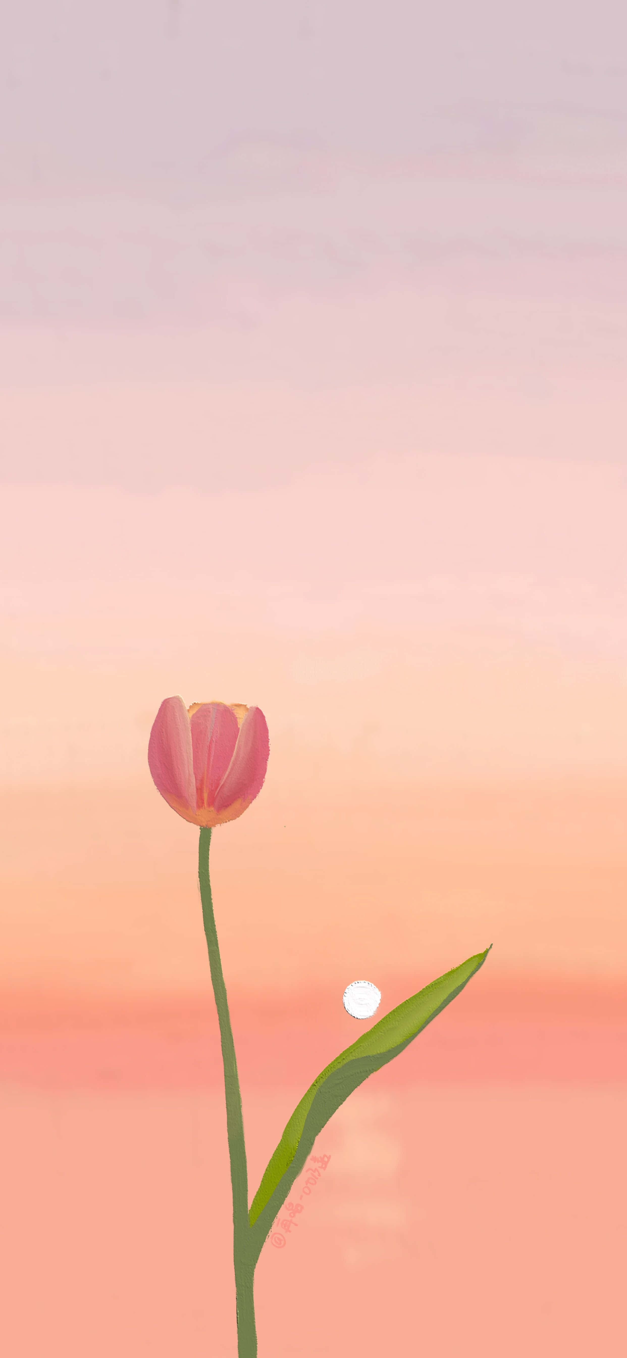 Ang kagandahan ng mga Tulip Wallpaper
