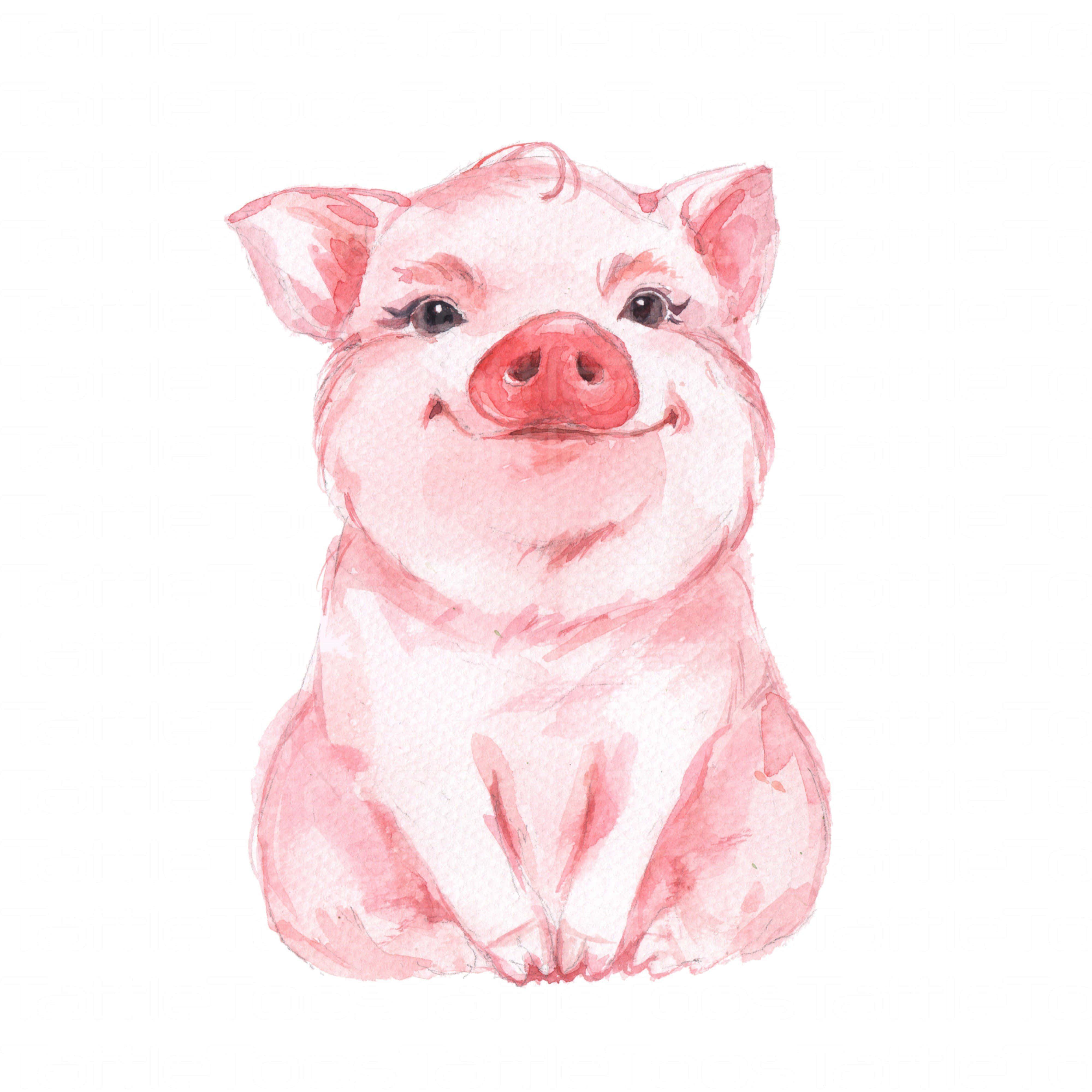 Ang Kaibig-ibig na Baboy na Ito ay Handa nang Yakapin Wallpaper