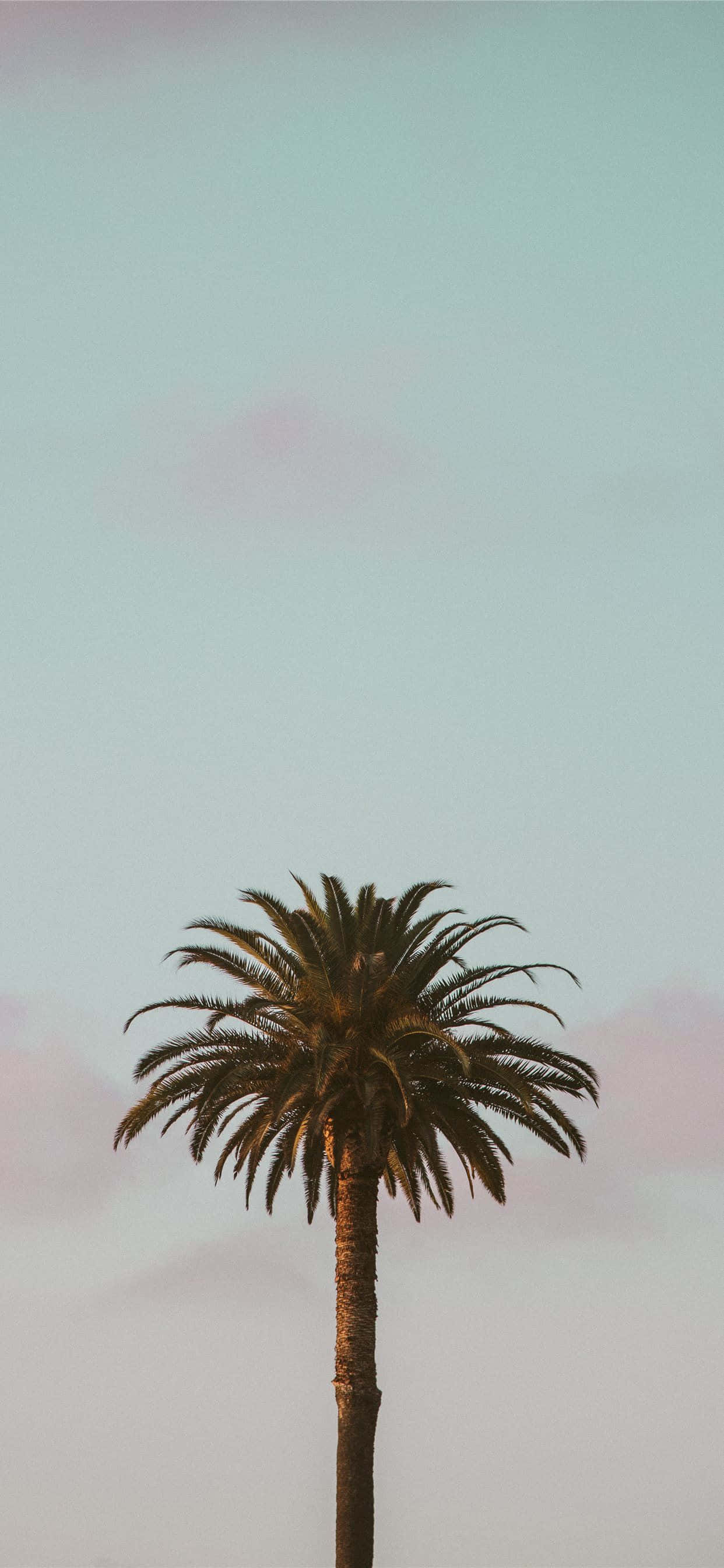 Ang Kalikasan ay Nagdadala ng Buhay sa Ating Buhay Wallpaper