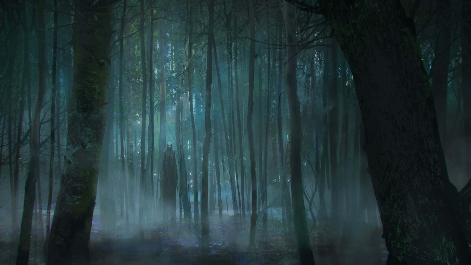 Ang misteryosong kagandahan ng isang madilim na kagubatan Wallpaper