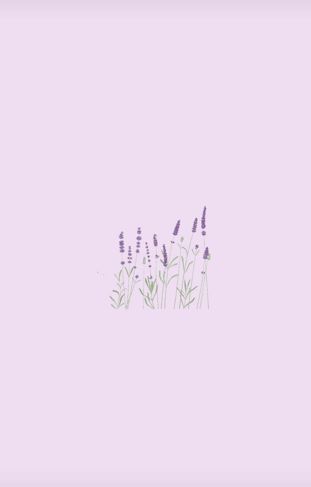 "Ang Nakakaakit na Kulay ng Lilac" Wallpaper