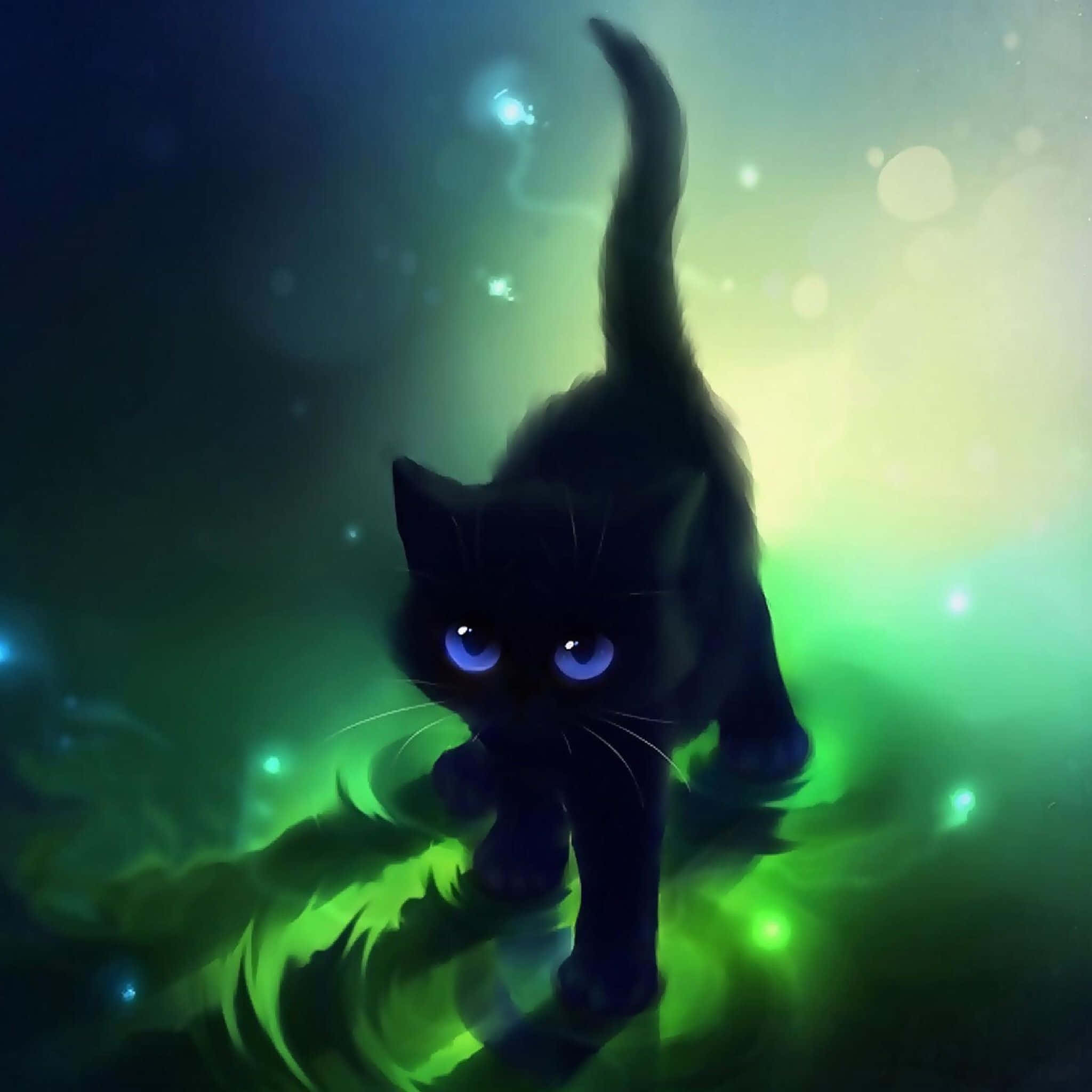Ang napakagandang itim na pusa ay magnanakaw ng iyong puso Wallpaper
