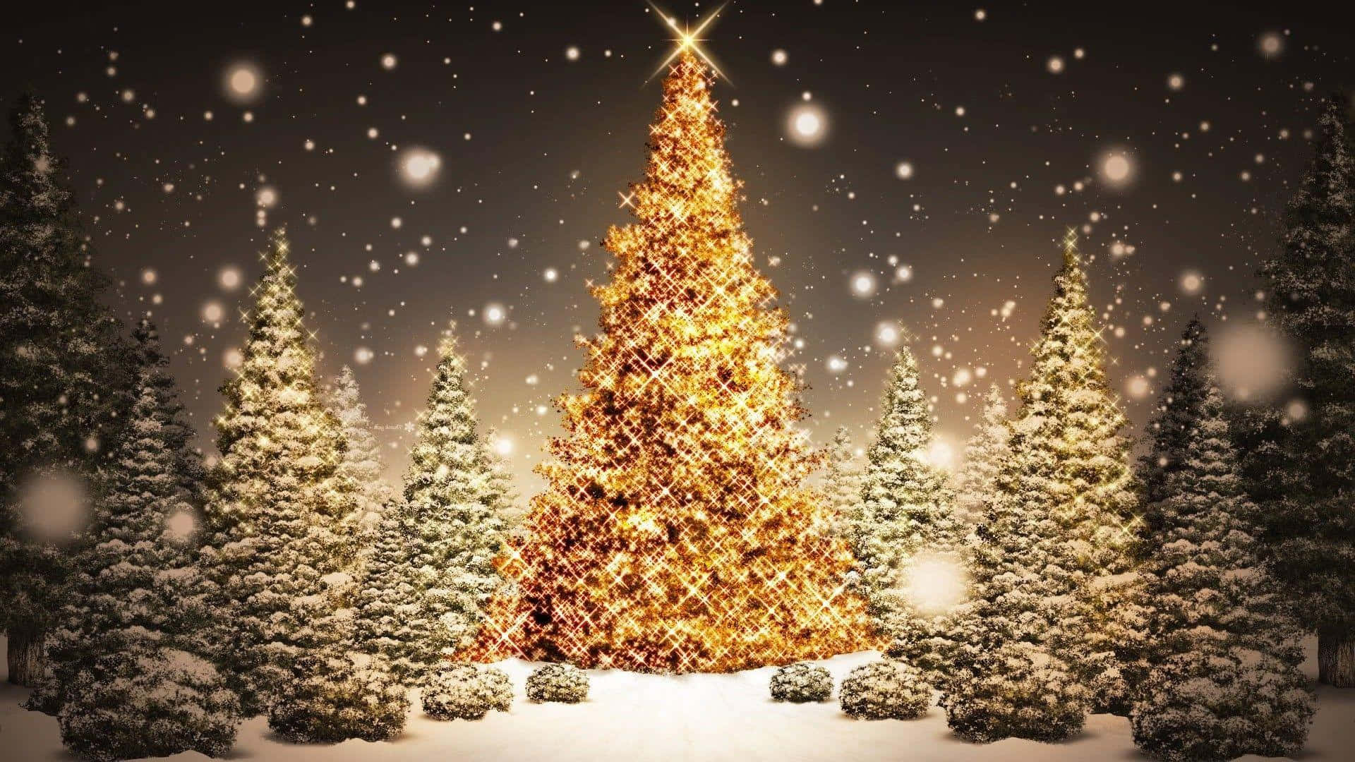 Ang perpektong Christmas Tree para pasiglahin ang iyong tahanan Wallpaper