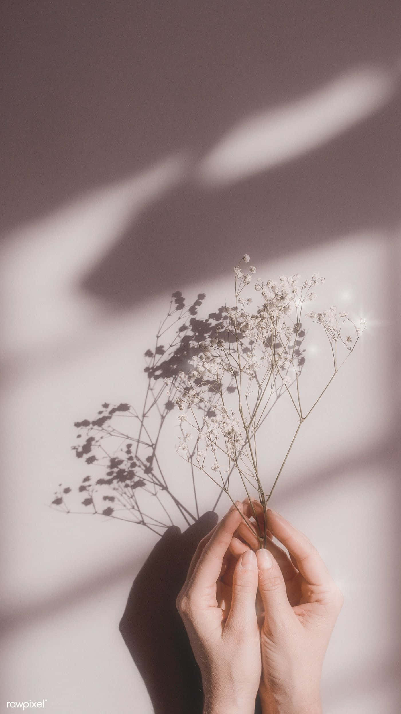 Ang perpektong floral touch upang pasiglahin ang anumang araw. Wallpaper