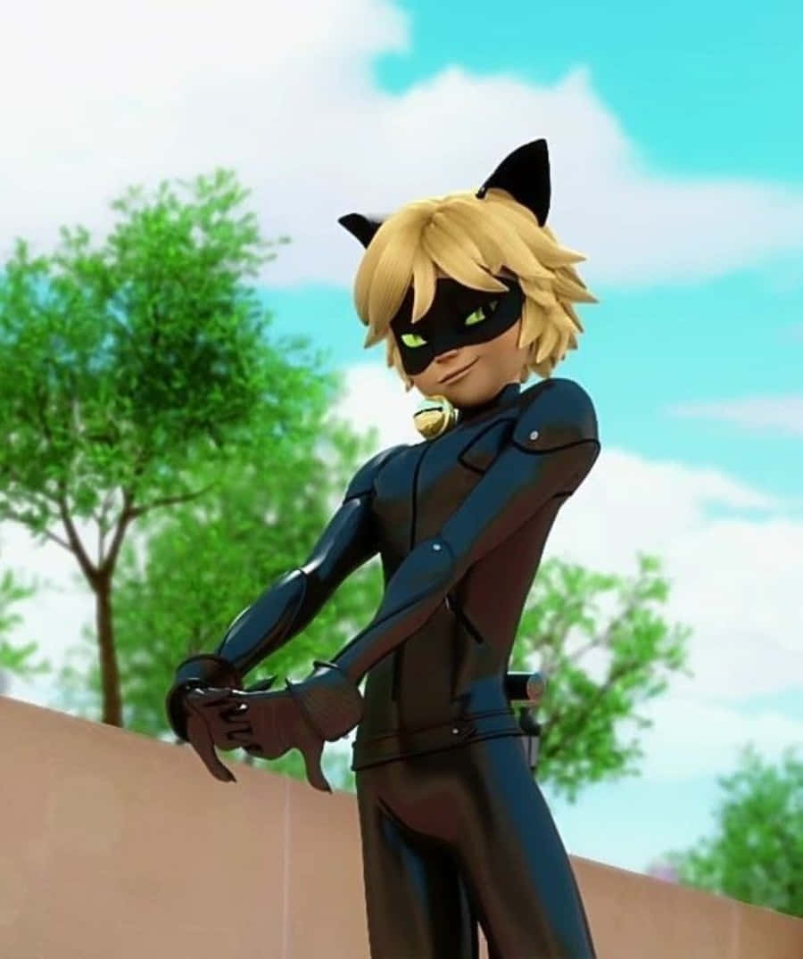 Ang Pinaka-Cool na Pusa sa Bayan - Cat Noir Wallpaper