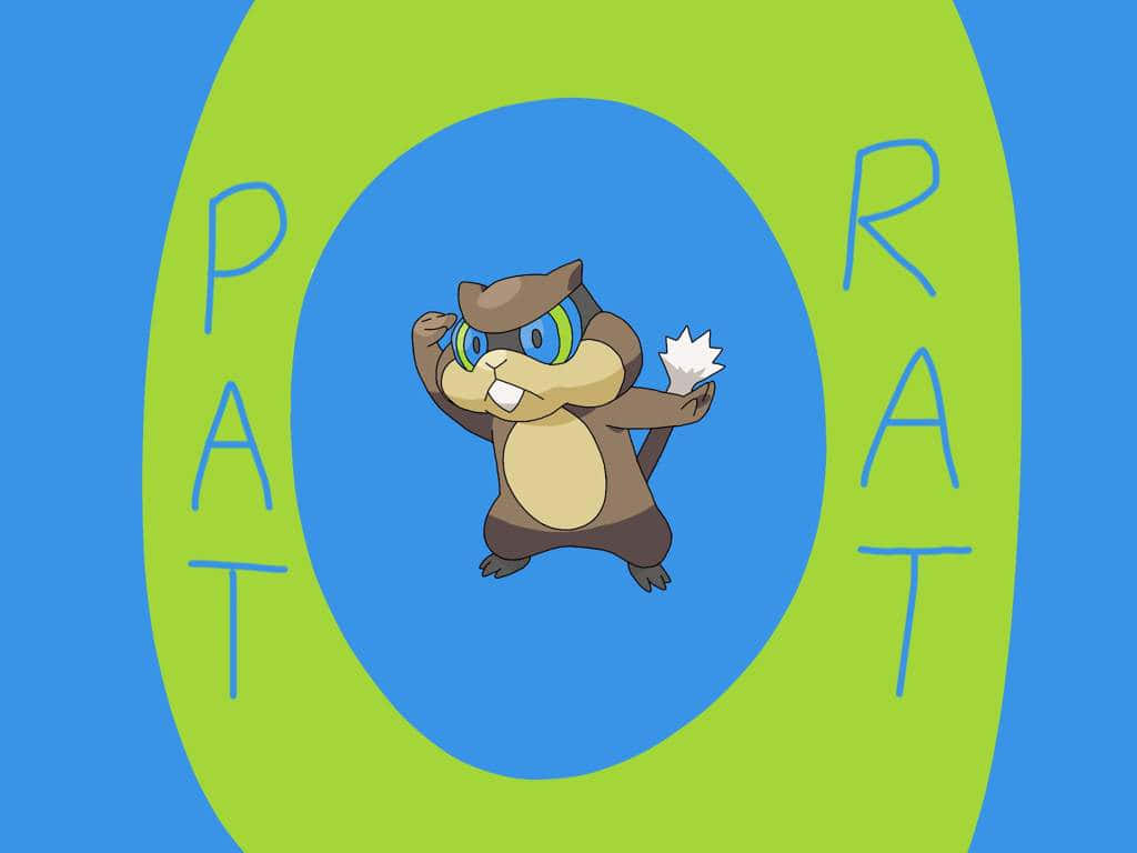 Ang Pinaka-Cute na Manlalaban, si Patrat Wallpaper