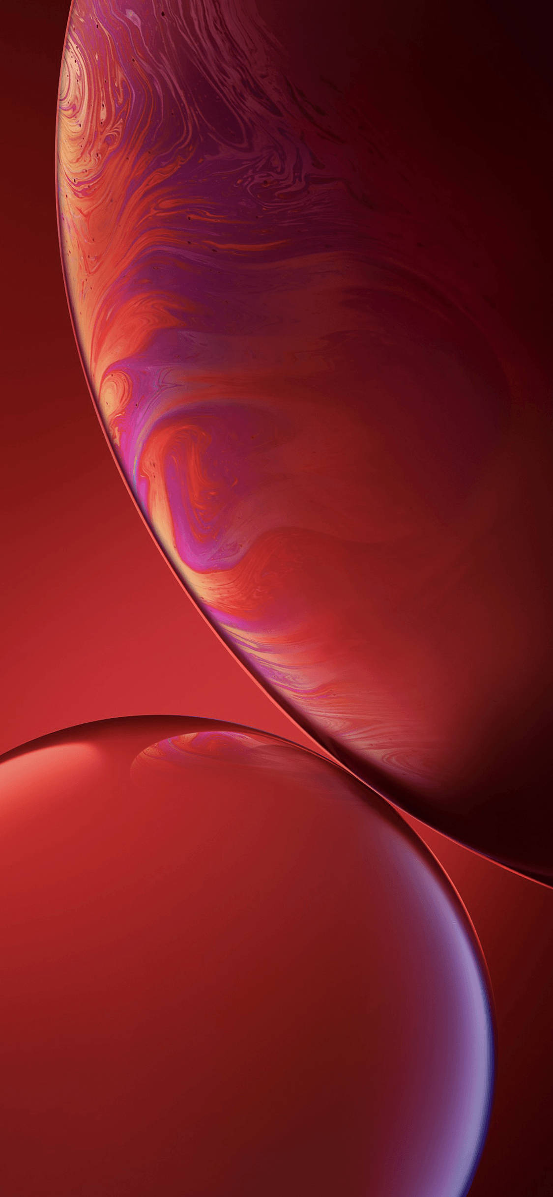 “Ang Pulang mga Bula ay Sumusuporta sa Matapang na Anyo ng iPhone XR” Wallpaper
