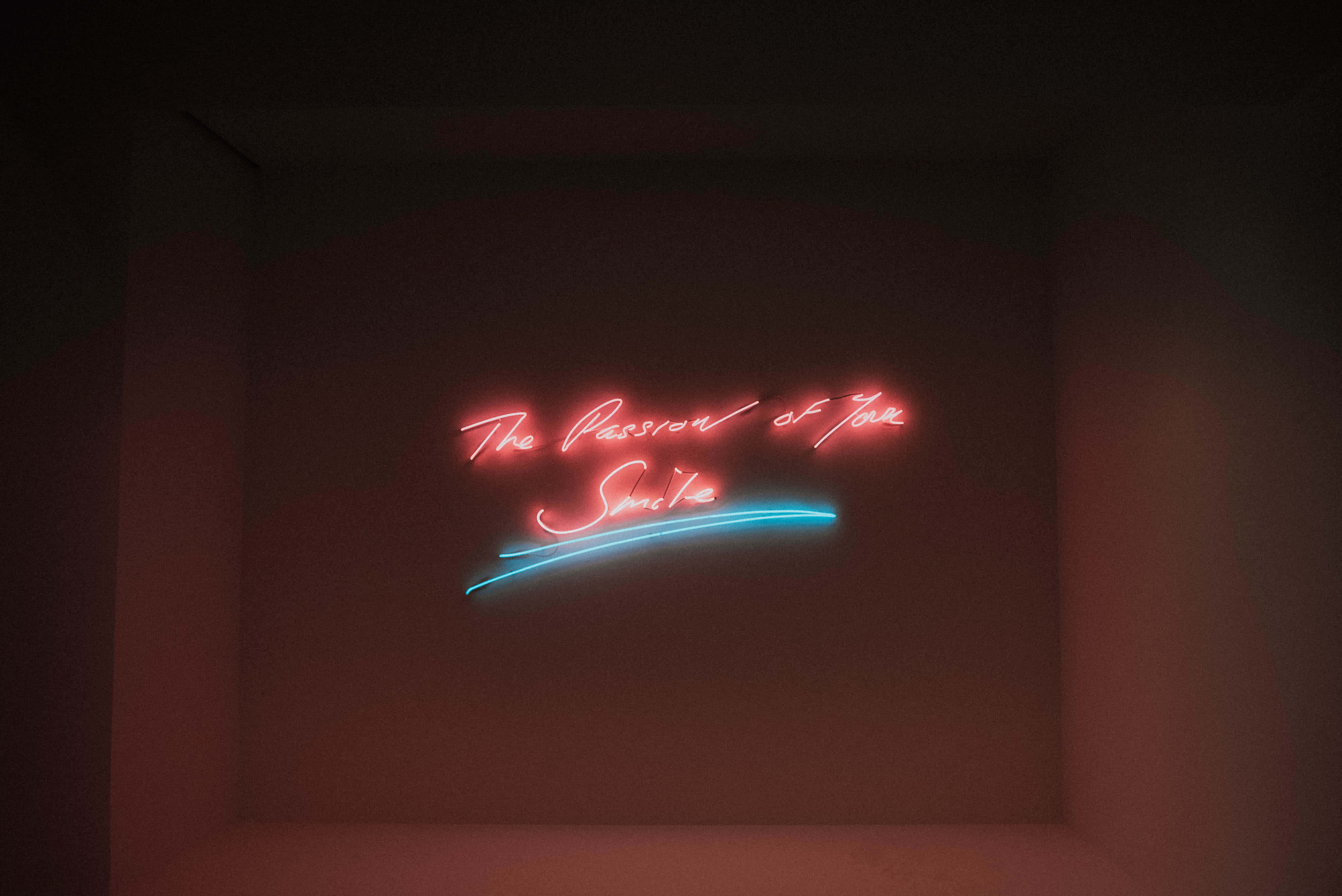 ang reyna ng mga dagat, neon, c s s s s s s s s s s Wallpaper