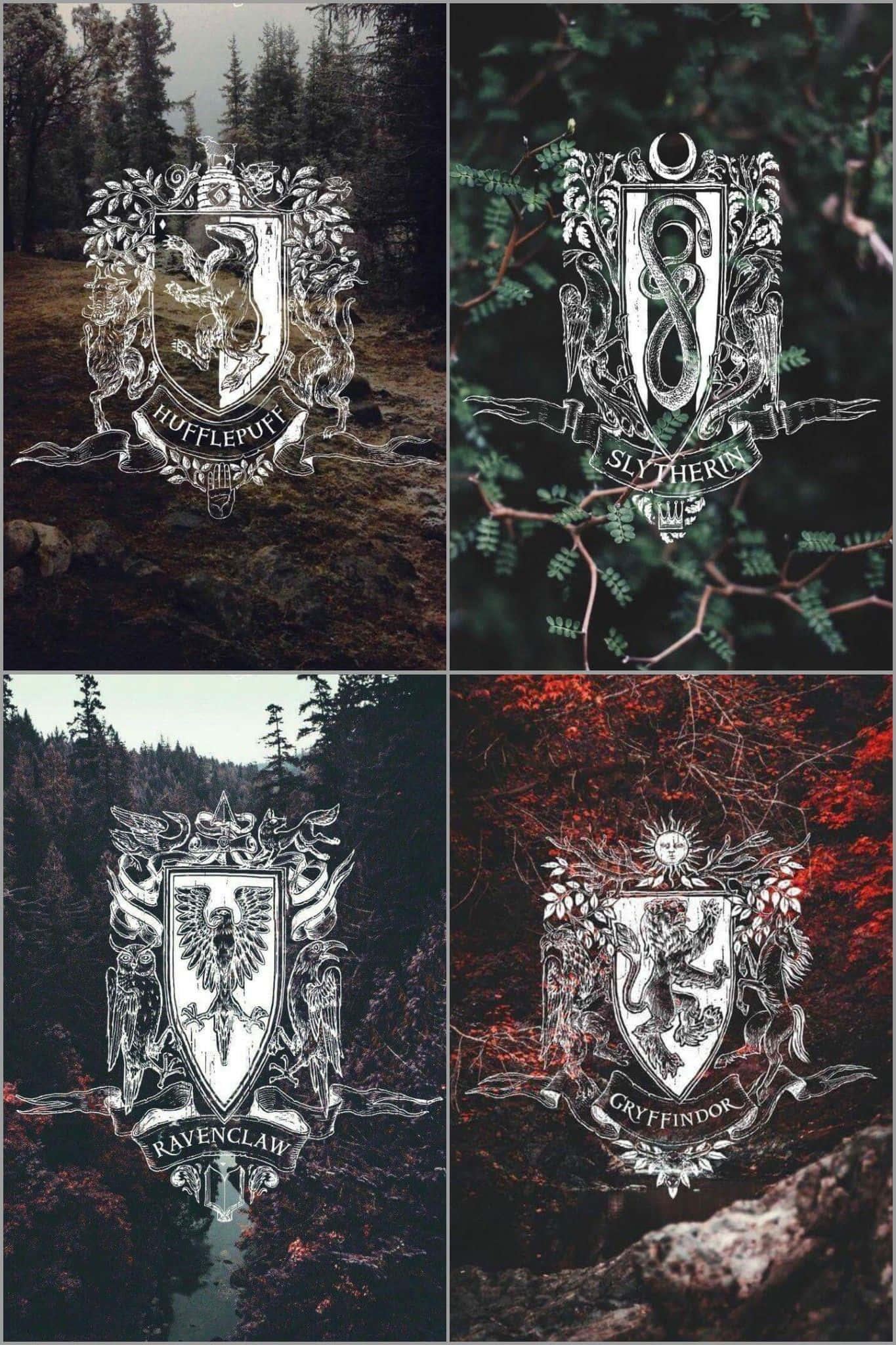 Ang Salamangka ng Harry Potter Wallpaper