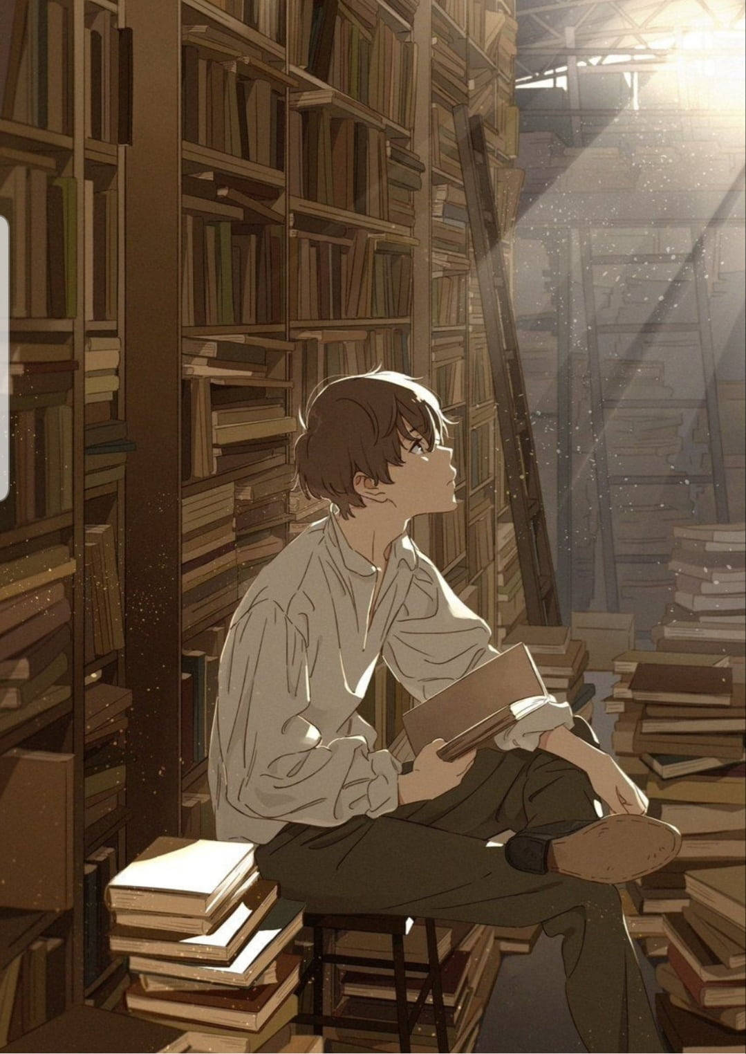 Anime na Lalaki sa Tambak ng Libro Wallpaper