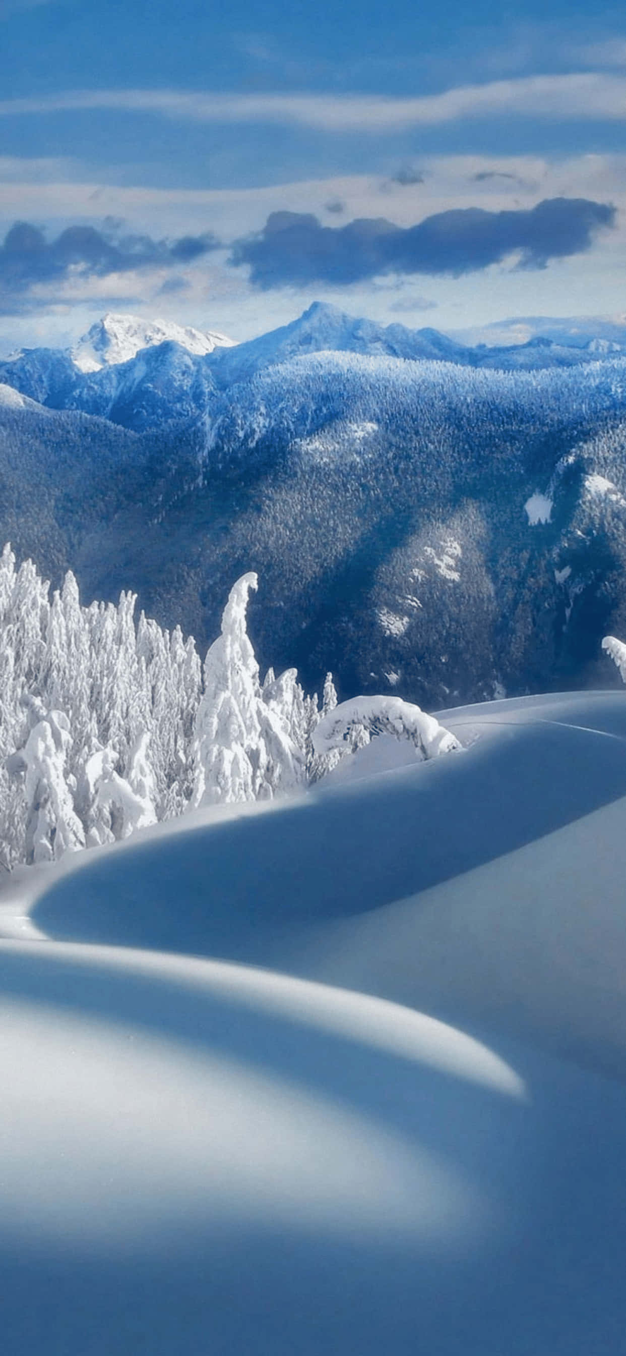 Appealing Winter Wonderland Background Fit for iPhone XS Max Wallpaper