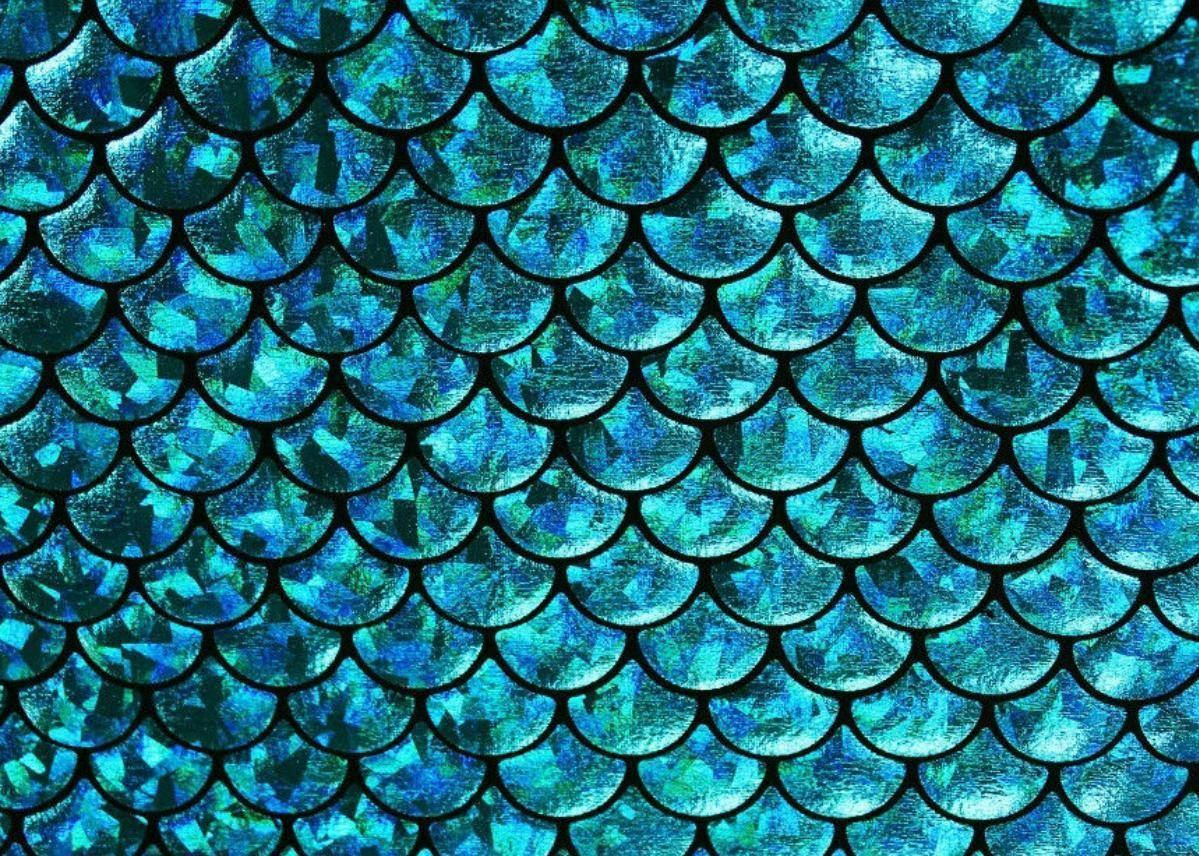 Aqua Mermaid Scales, isang Kaakit-akit na Eksena ng Kagandahan Wallpaper
