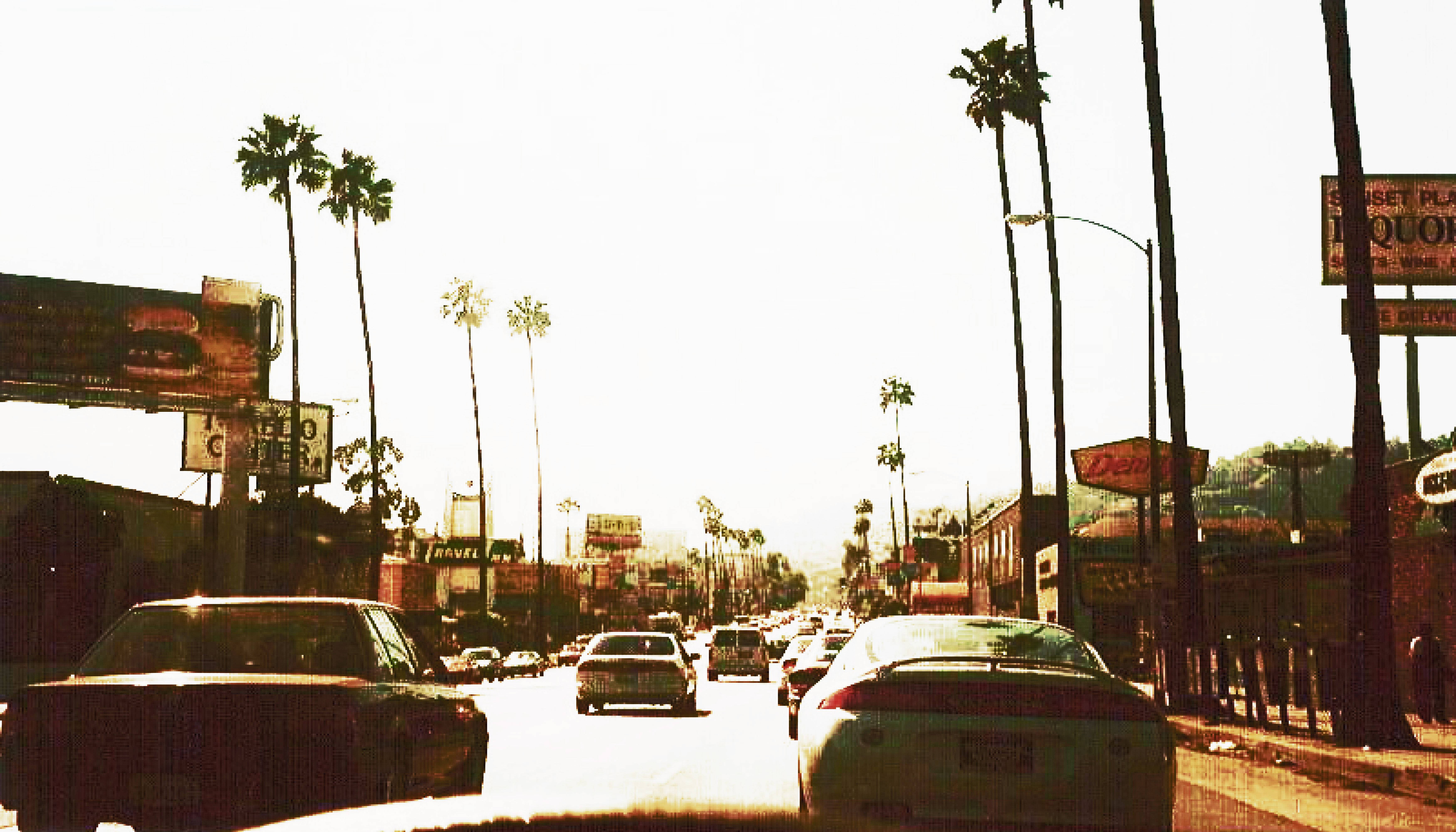 Araw ng Sunset Boulevard na Nakakasilaw Wallpaper
