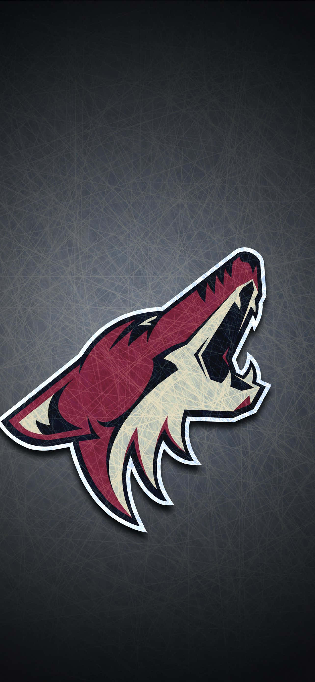 arizona coyotes logo wallpaper