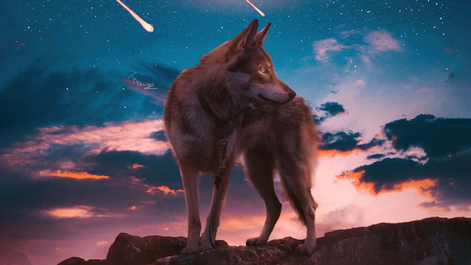 Astig na Estetiko ng Lobo na May Mga Bituing Bumabagsak Wallpaper