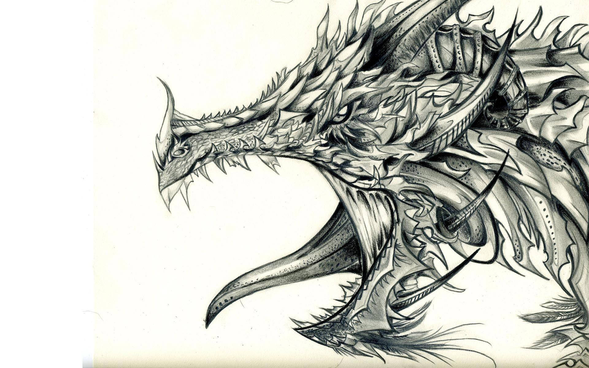 Astig na Guhit na Armadong Dragon Wallpaper
