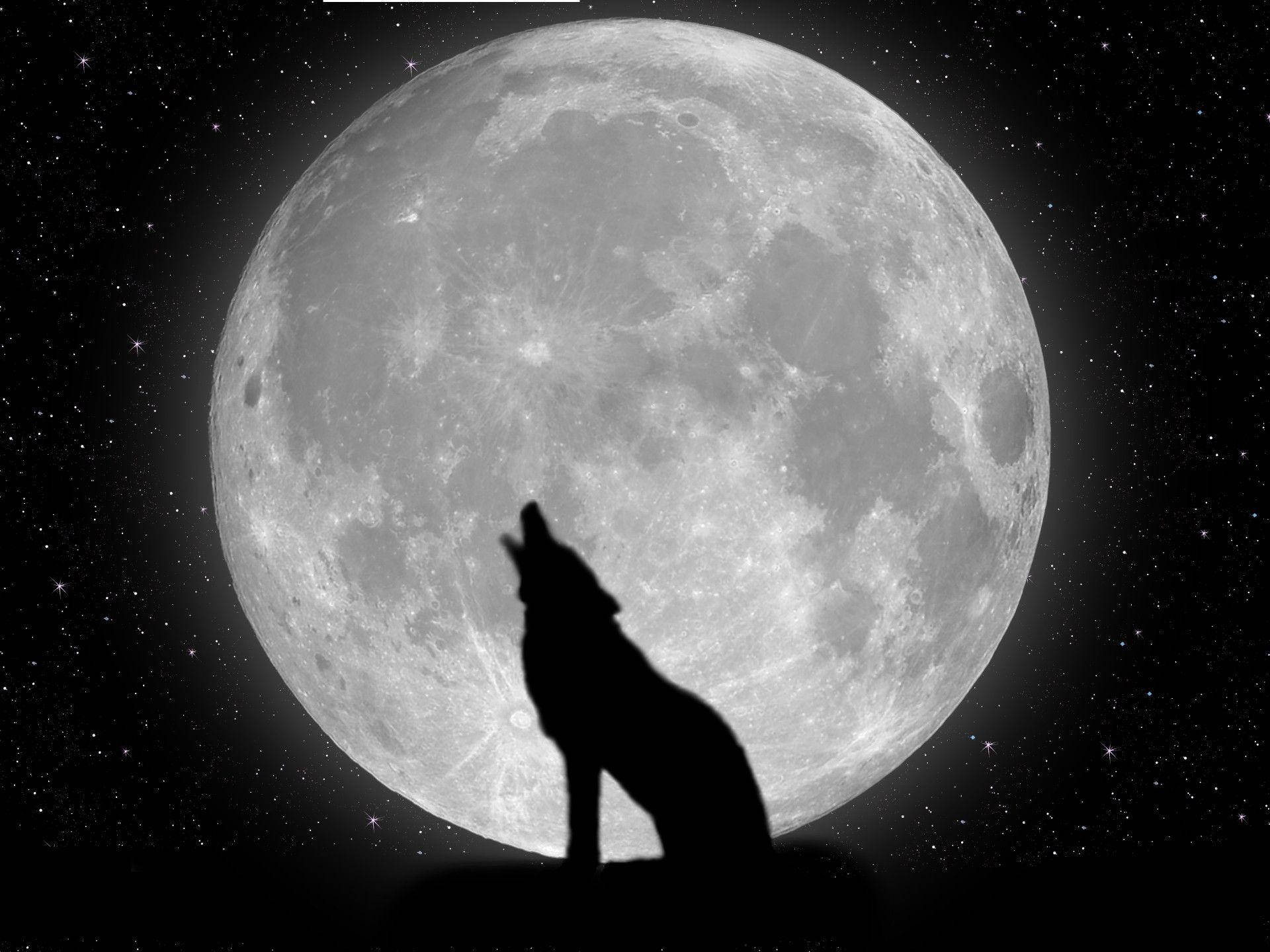 Astig na Lobo at Buwan Wallpaper