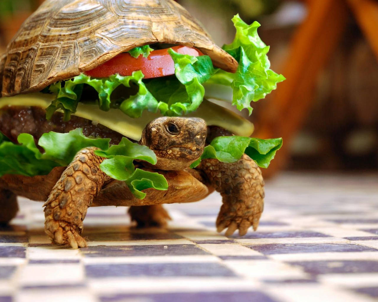 Astig na Pagong Burger Wallpaper