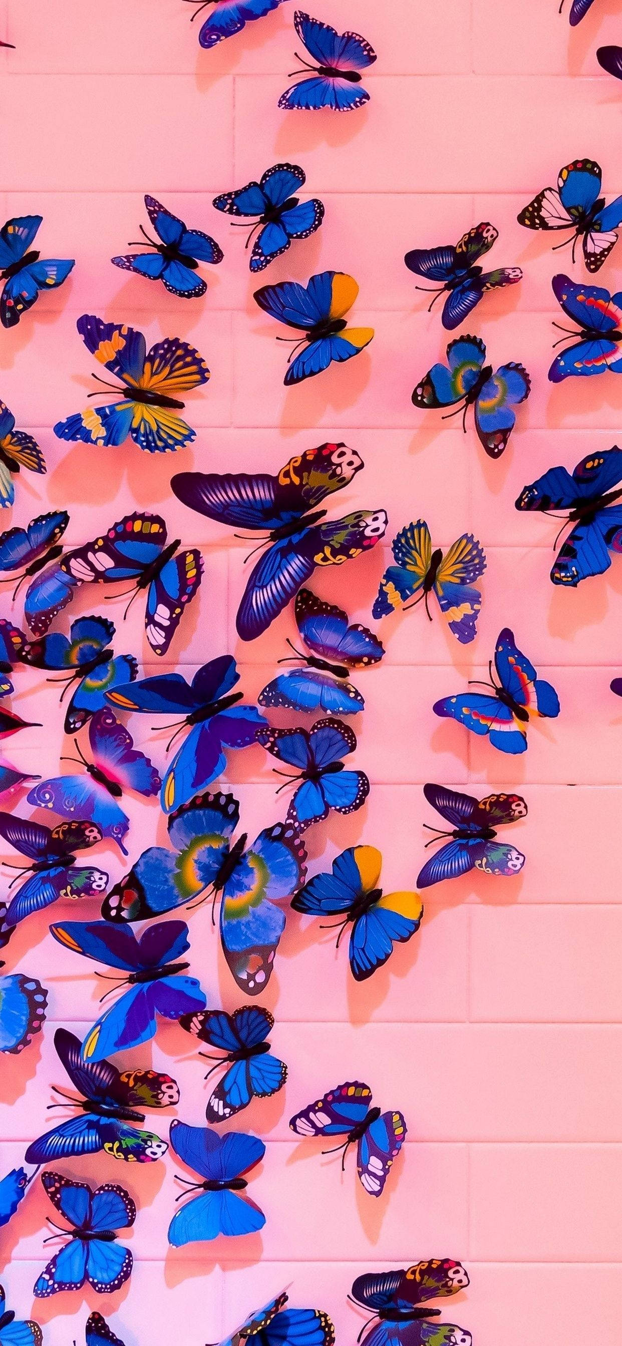 Asul at Rosas na Paruparo Aesthetic Wallpaper