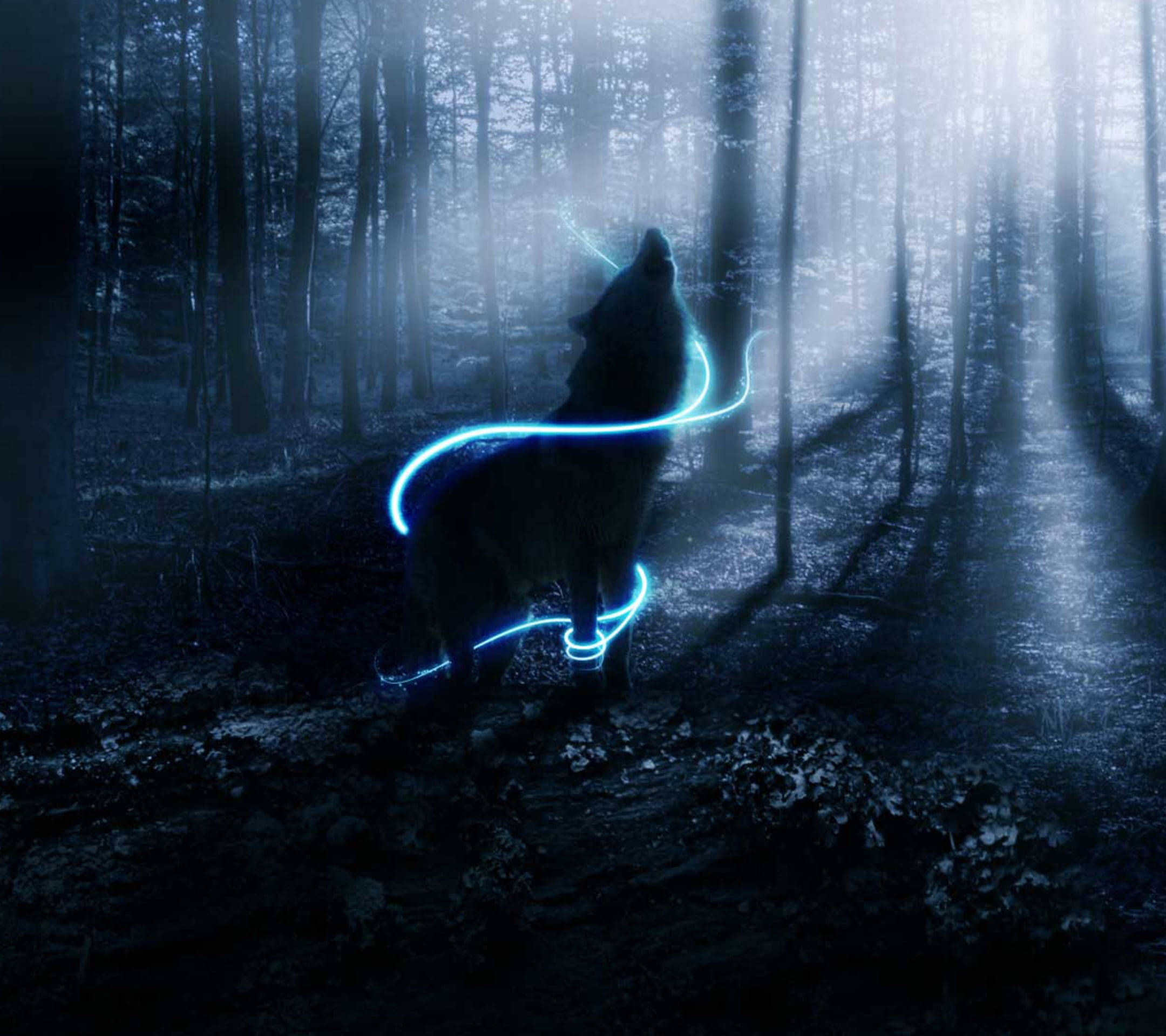 Asul na Neon na Anime na Lobo sa Mistikong Kagubatan Wallpaper
