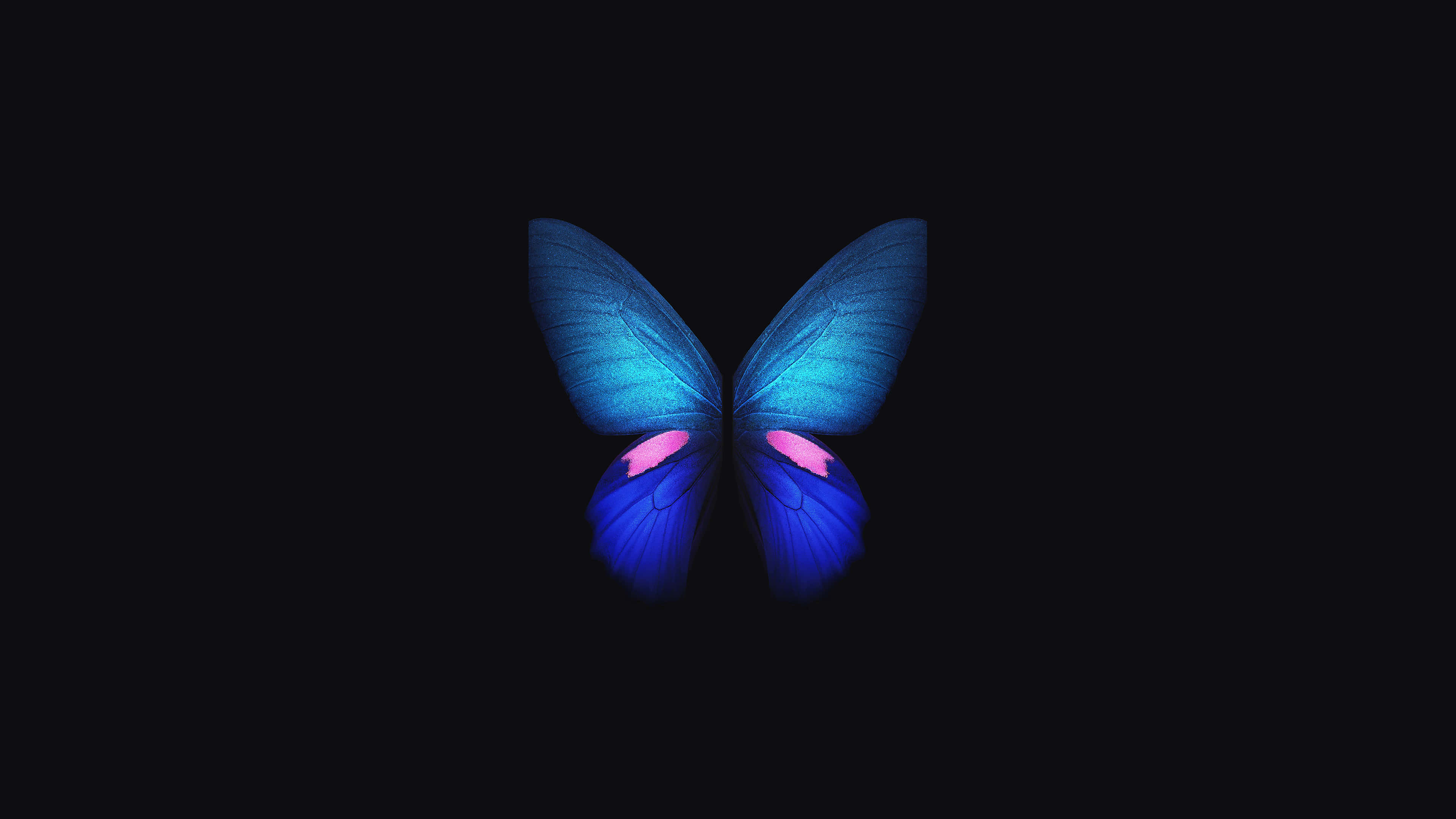 Asul na Paru-paro 4K OLED Background Wallpaper