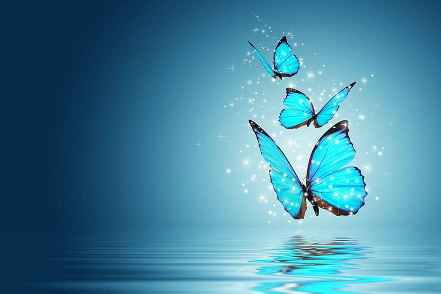 Asul na Paru-paro Buong Desktop Screen HD Wallpaper