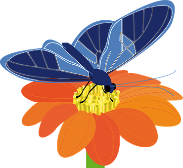 Asul na Paruparo sa Kahel na Bulaklak Wallpaper