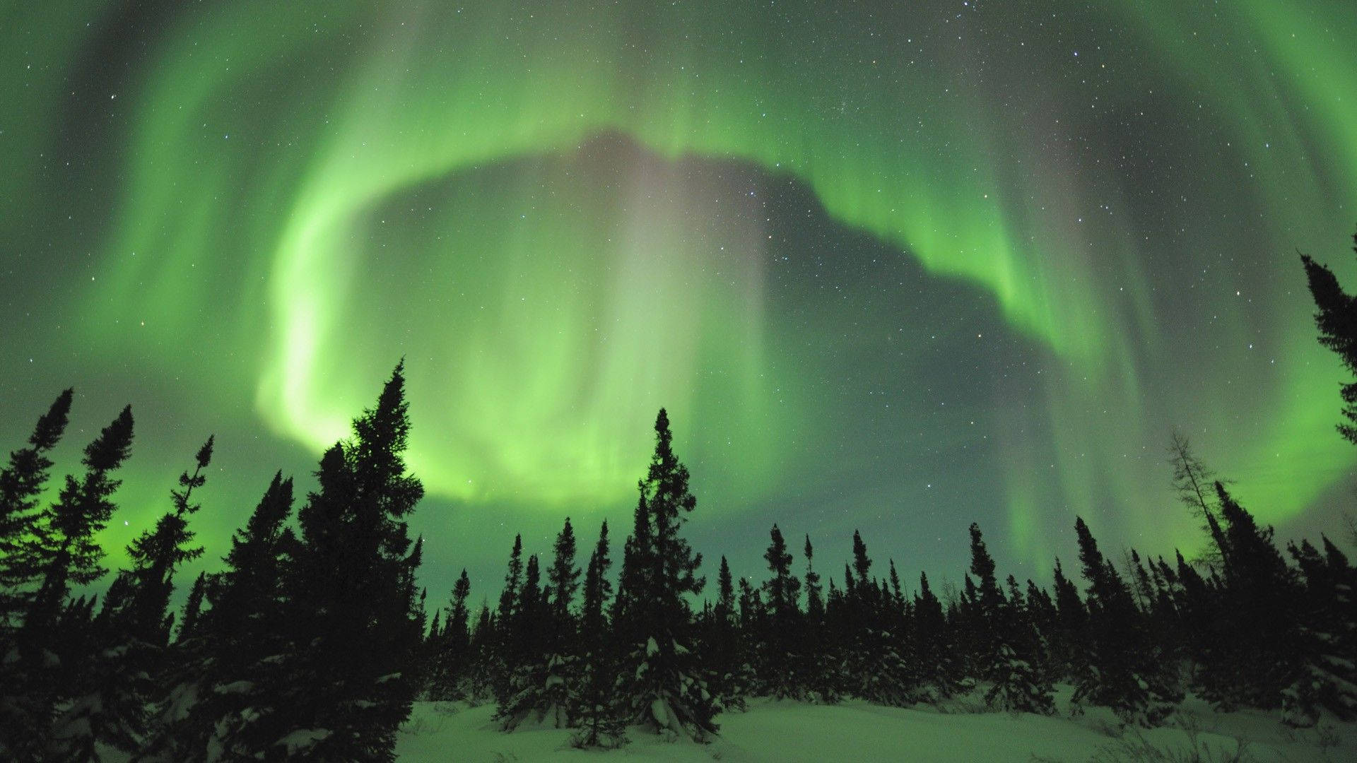 Aurora Borealis na Luntiang Kalangitan Wallpaper
