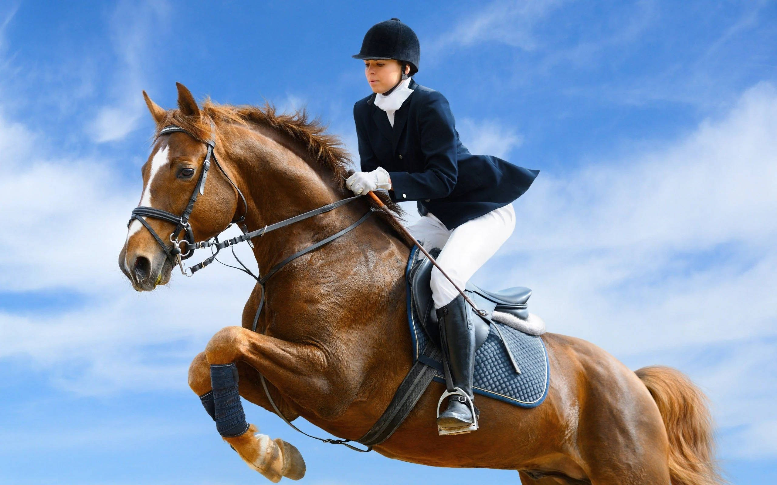 Babae Sakay Kabayo Tumatalon Equestrian Wallpaper