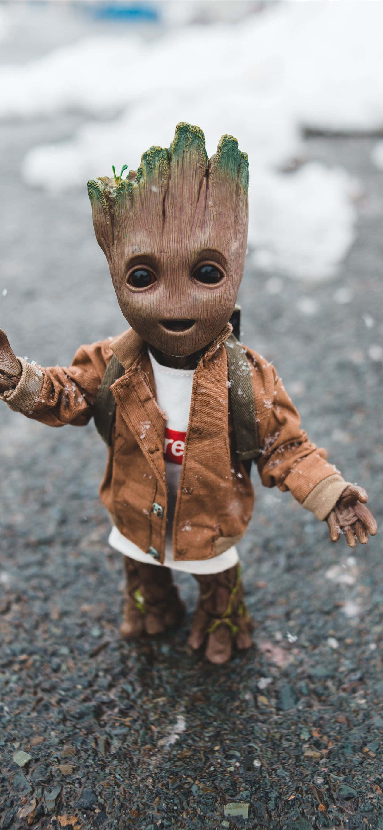 Baby Groot Profile Picture Wallpaper