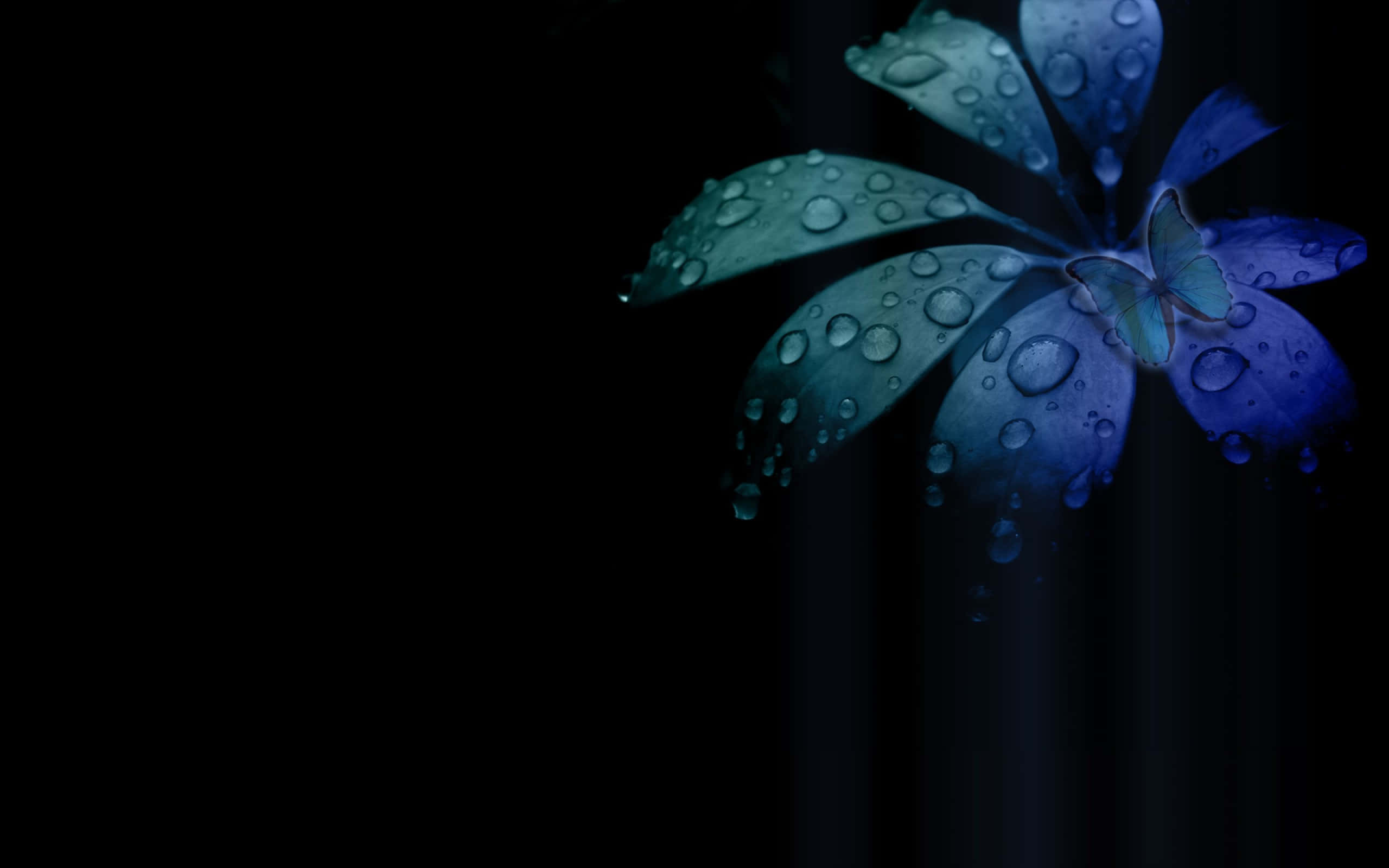 Background na Dark Theme Wallpaper