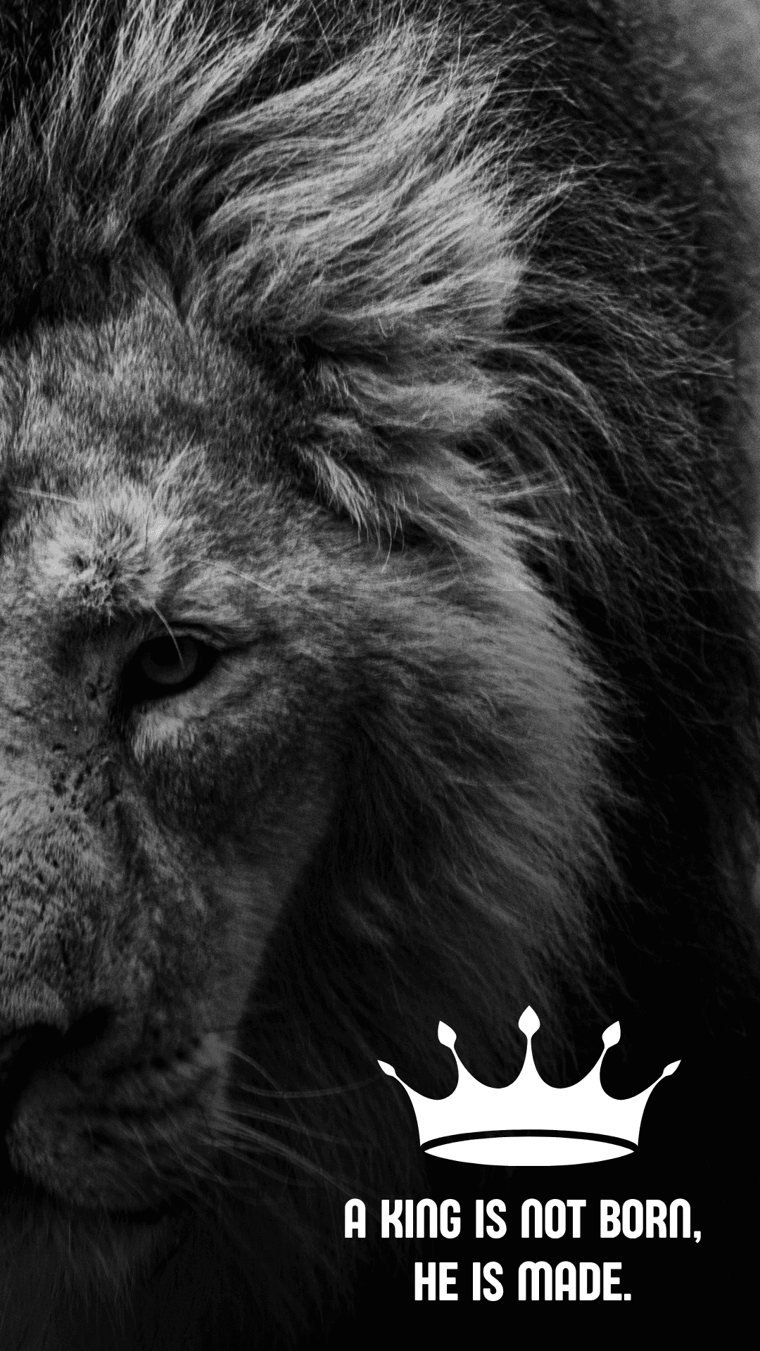 Background na may leon Wallpaper