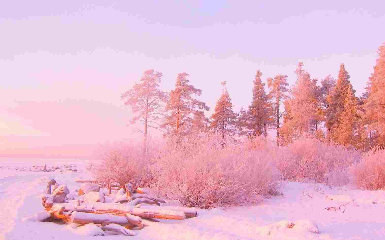 Background na Pastel Pink Wallpaper