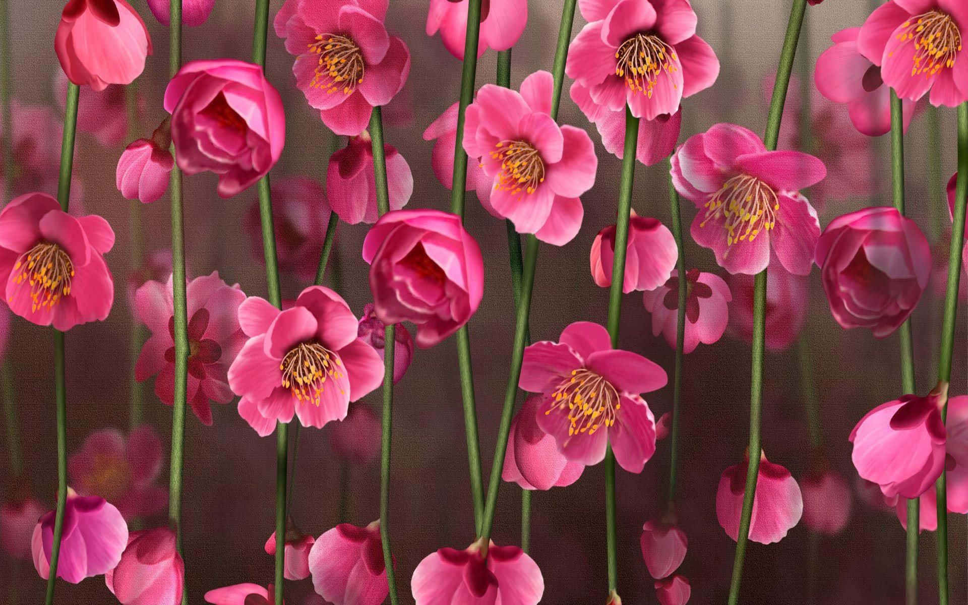 Background na Plush Pink na May Bulaklak Wallpaper