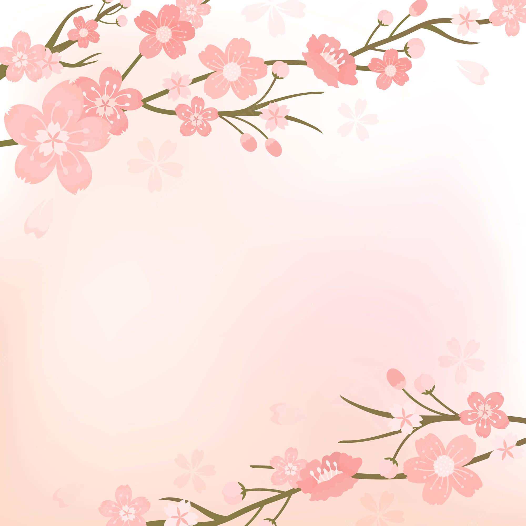 Background ng Cherry Blossom Wallpaper