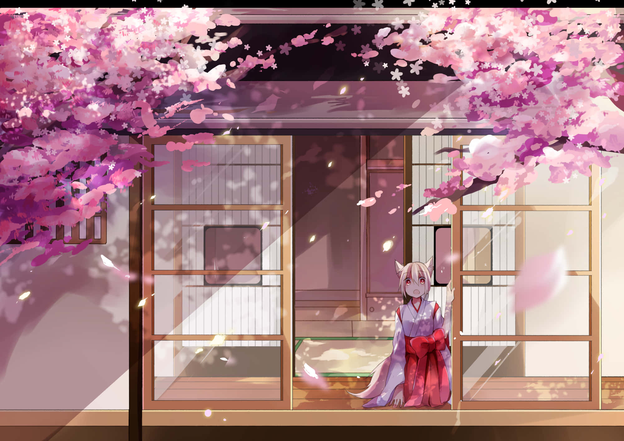 Background ng Cherry Blossom Wallpaper