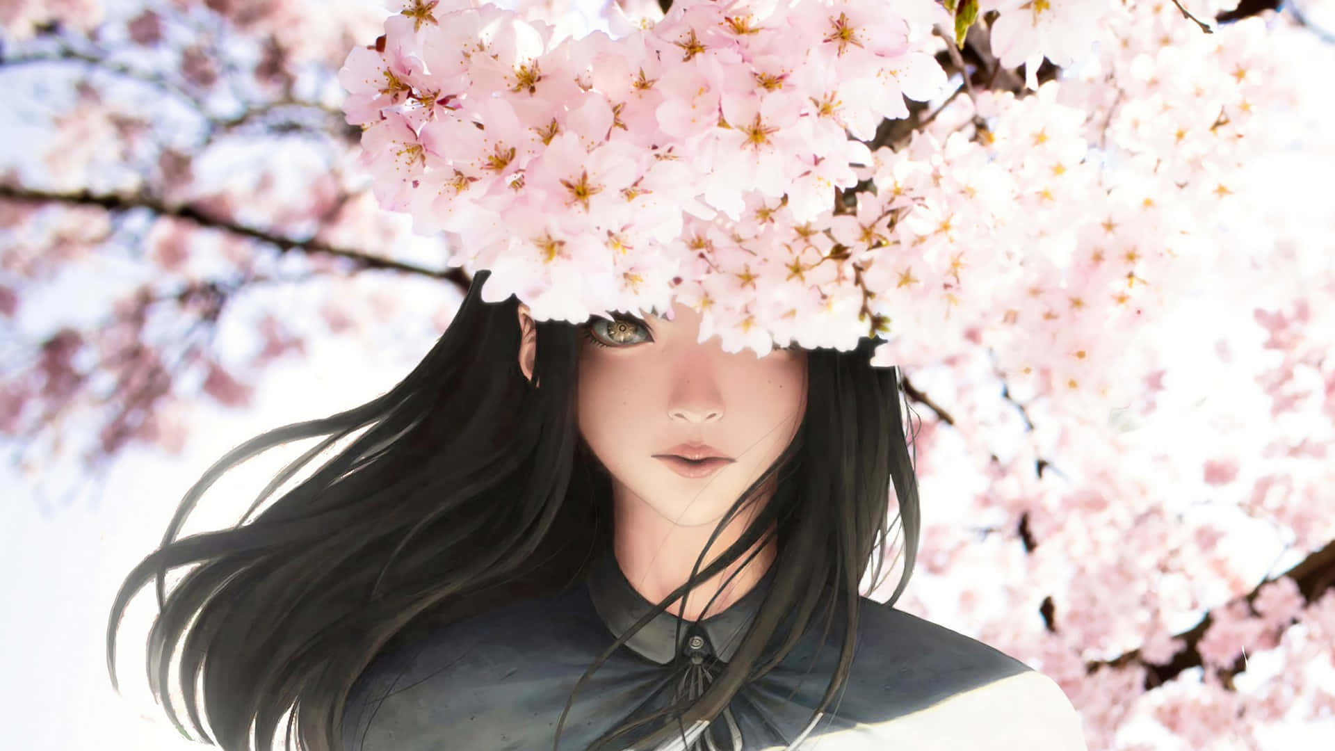 Background ng Cherry Blossom Wallpaper