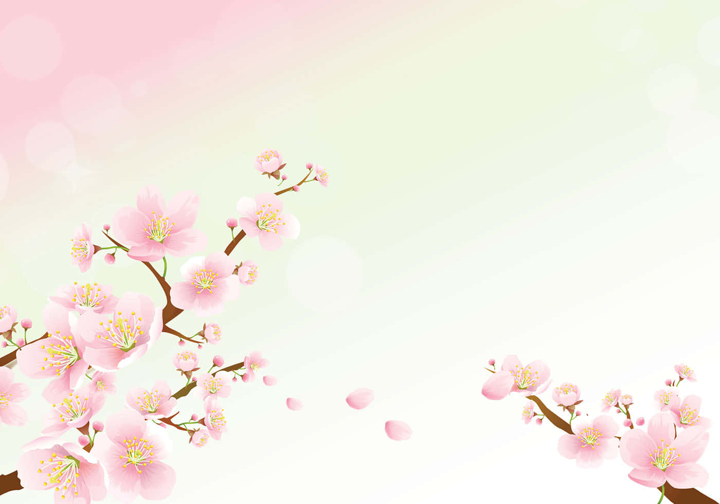 Background ng Cherry Blossom Wallpaper