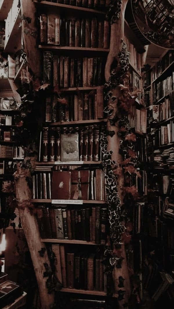 Background ng Dark Academia Wallpaper